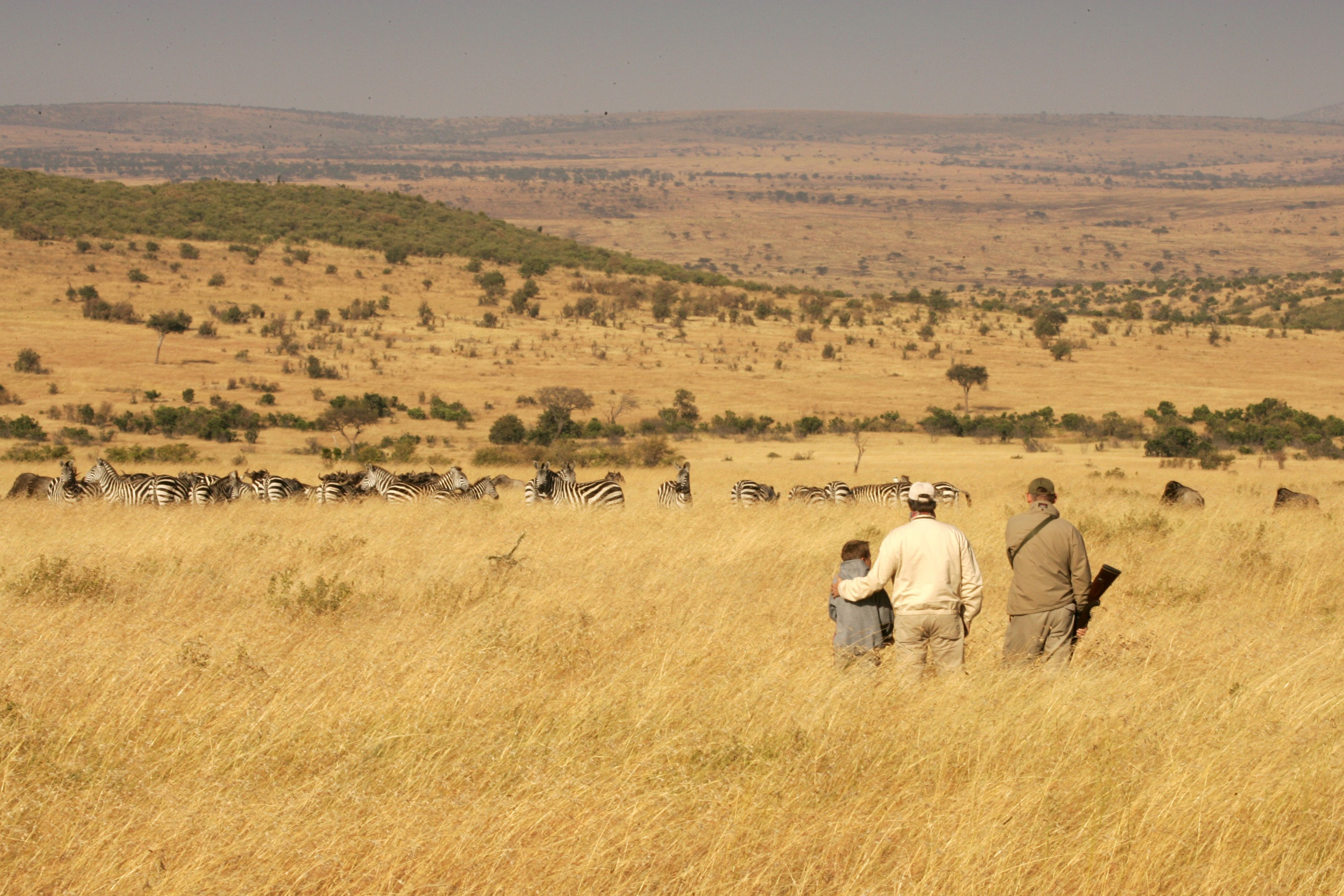 Father and son looking at zebra on a bush walk from Cottars Camp in Kenya