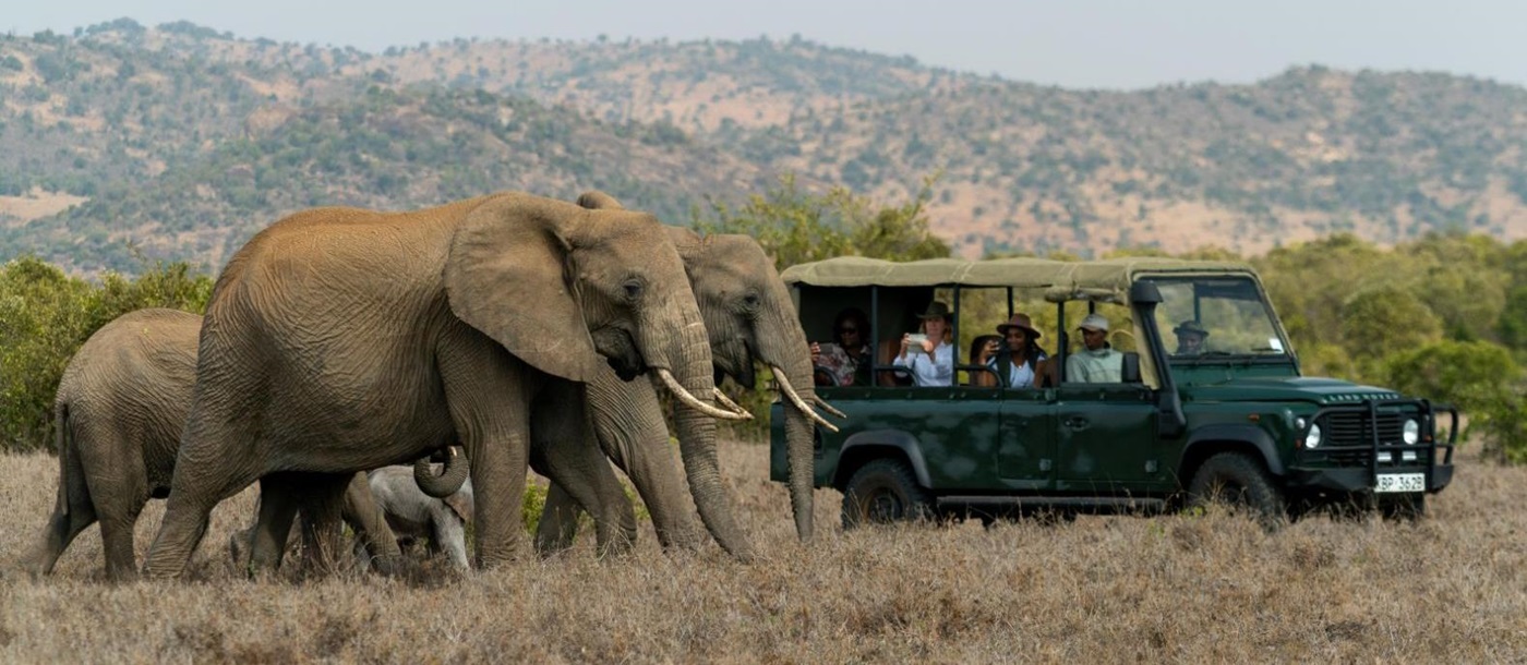 Elephants spotted on a game drive on the grounds of Laragai House on the Borana Conservancy in Kenya