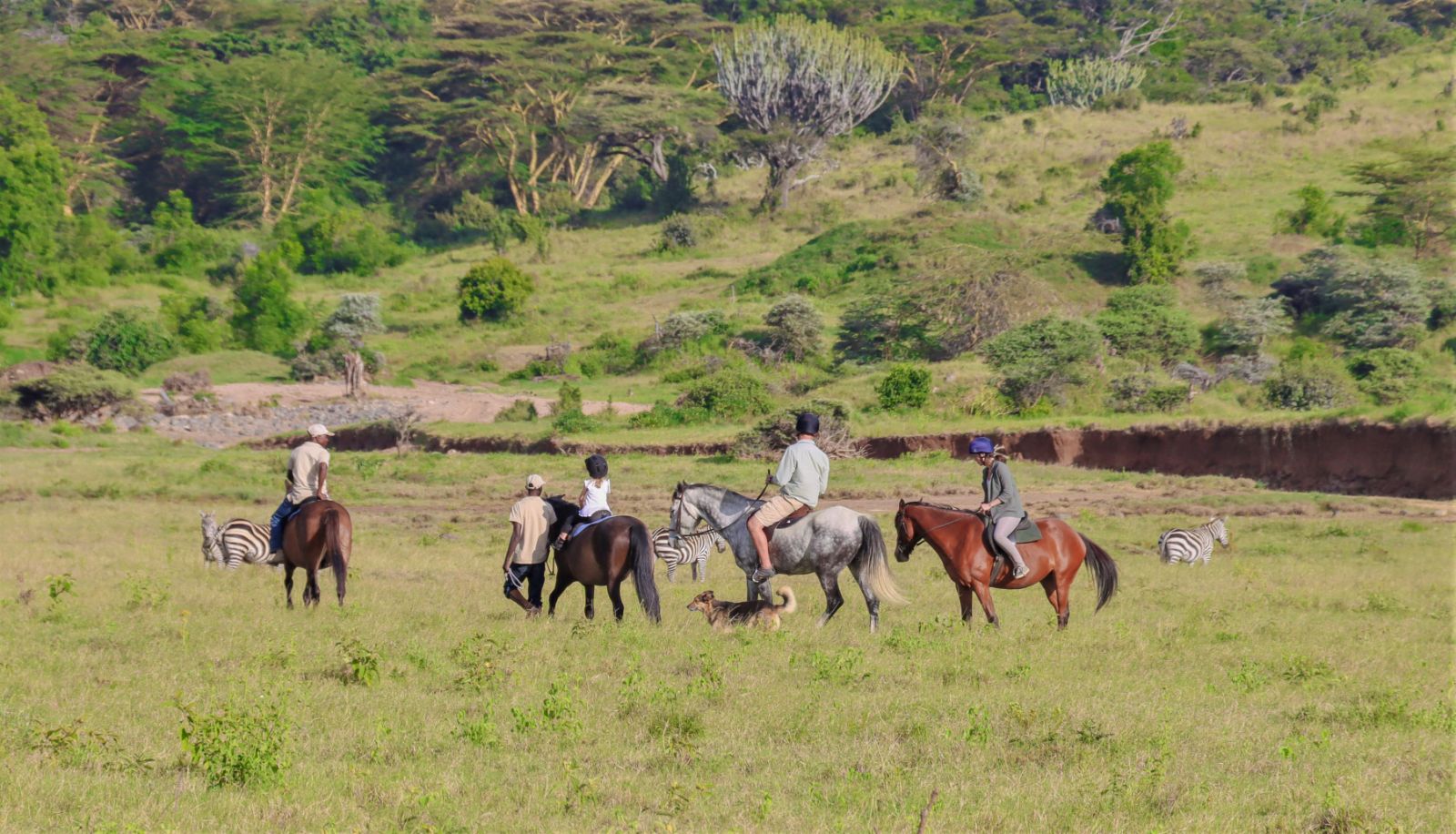 Riding on the Borana Conservancy from Laragai House in Kenya
