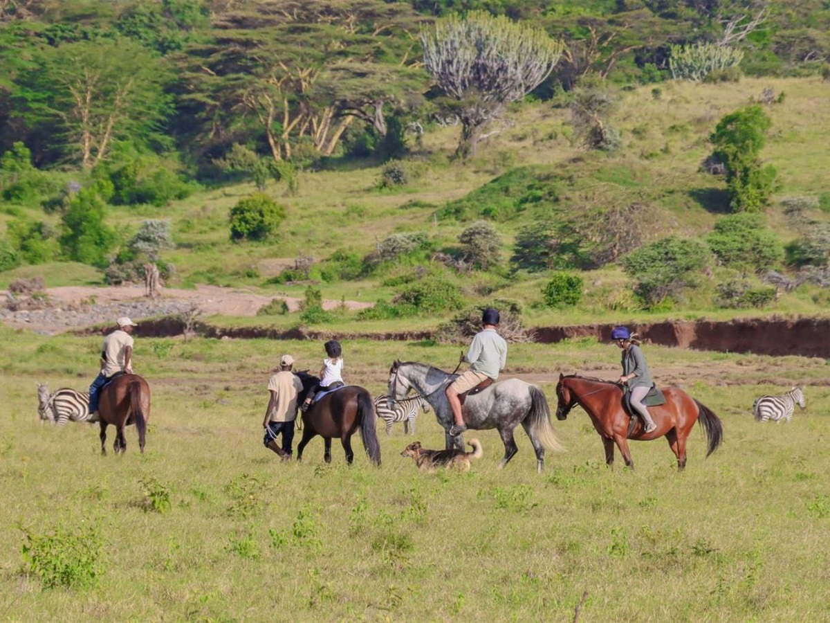 Riding on the Borana Conservancy from Laragai House in Kenya