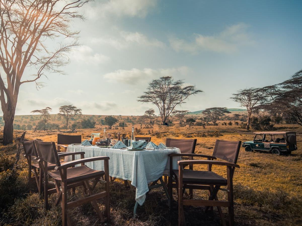 Bush breakfast set up at Lengishu in Laikipia, Kenya