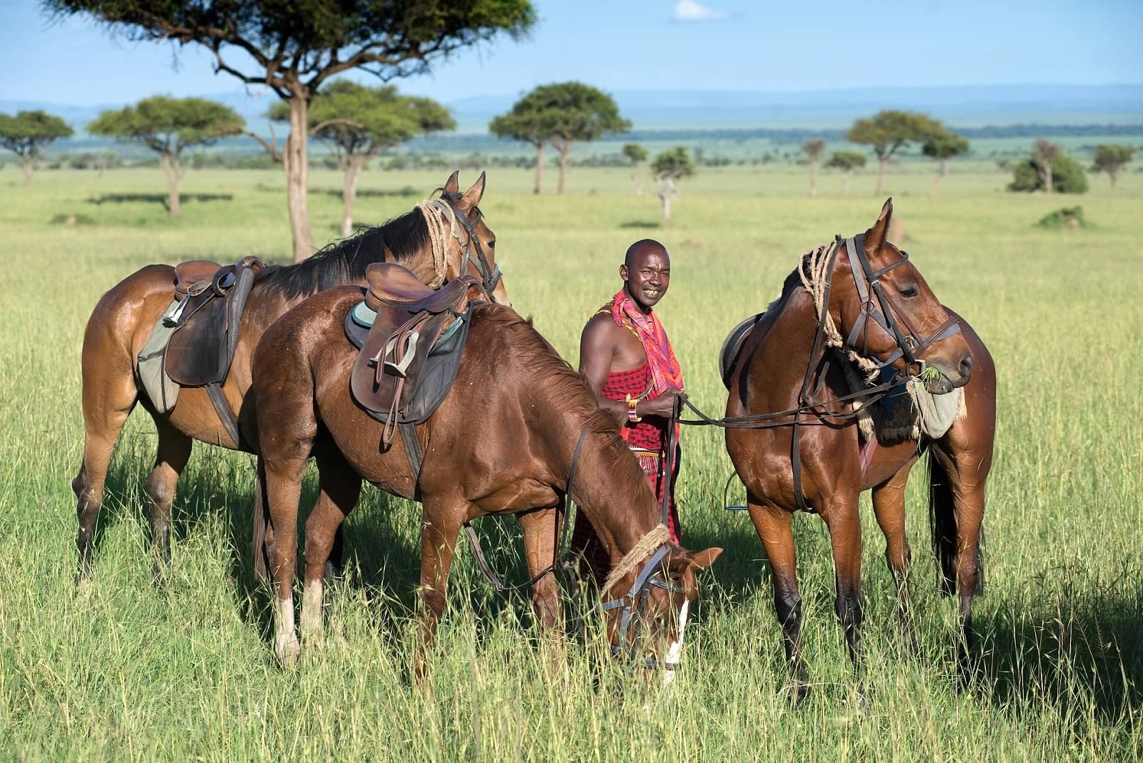 african safari horseback