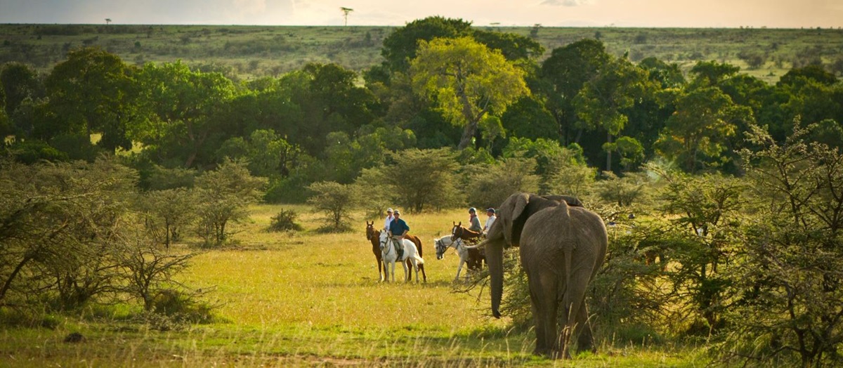 Riders and elephant in the Masai Mara on a Kenya riding safari
