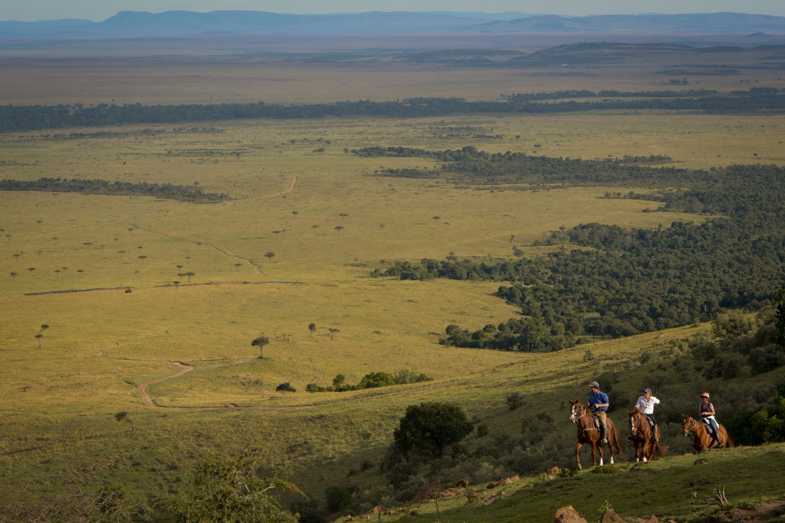 Horse riding and savannah views on a Kenya riding safari