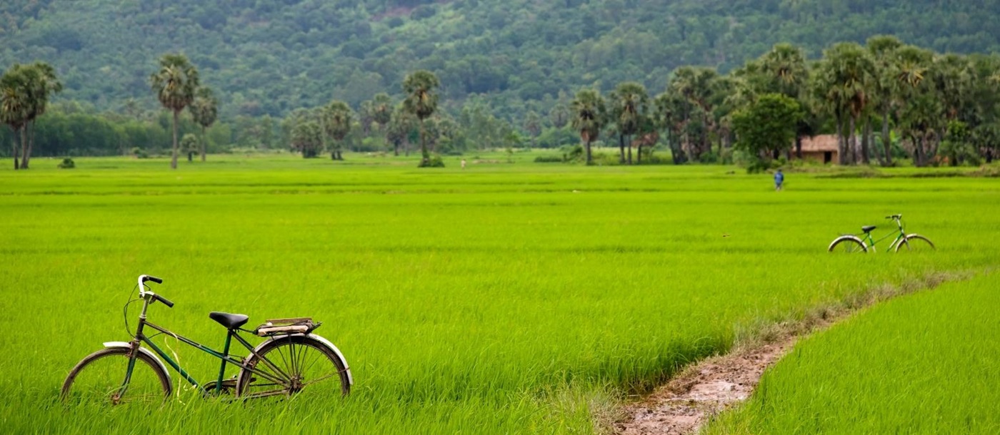 Bicycle in a paddyfield, Laos