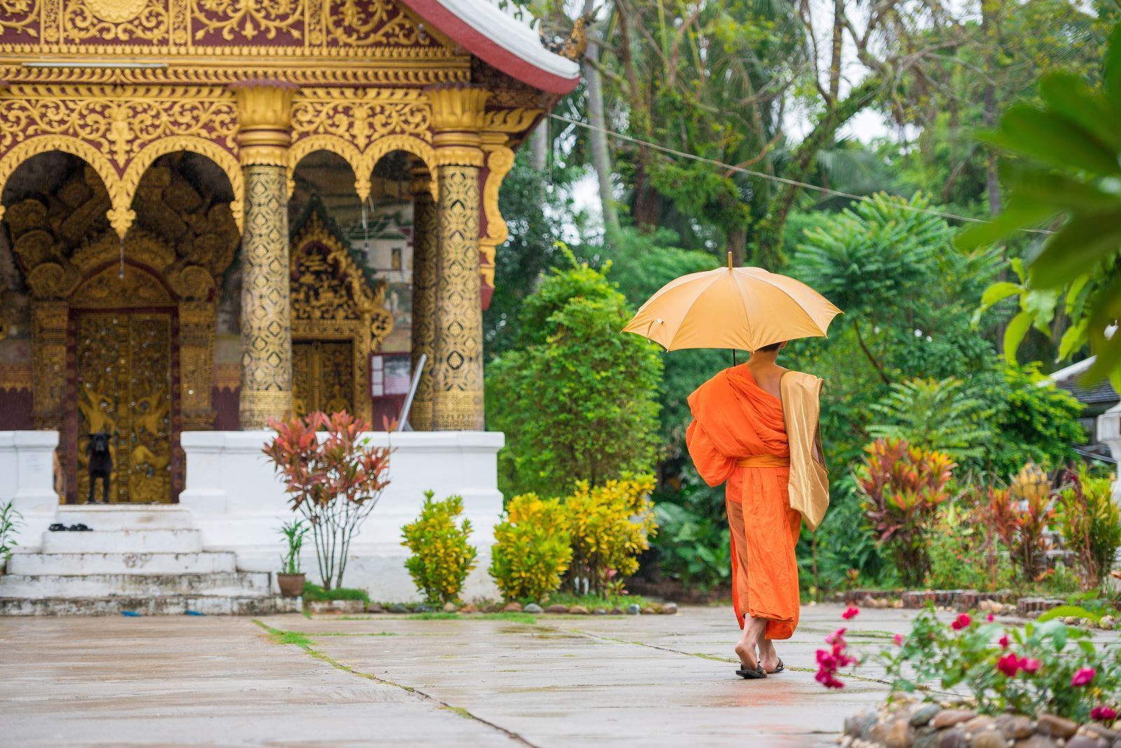 A monk in Luang Prabang city, Laos
