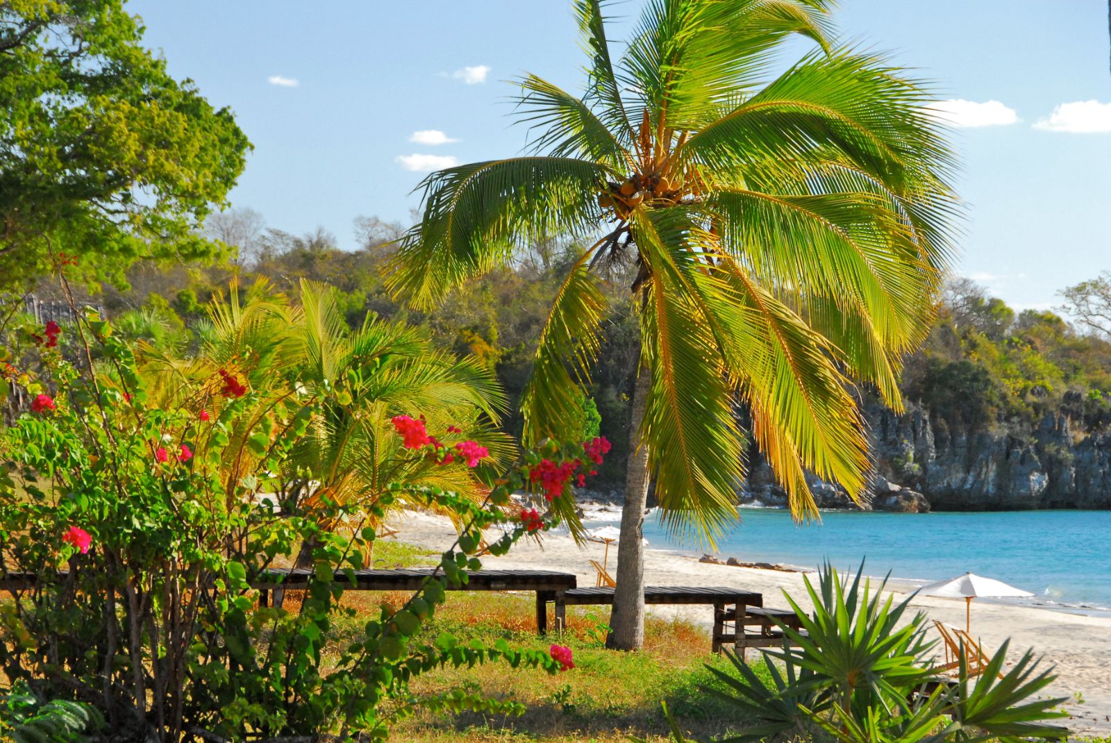 Beach and tropical vegetation at Anjajavy lHotel in Madagascar