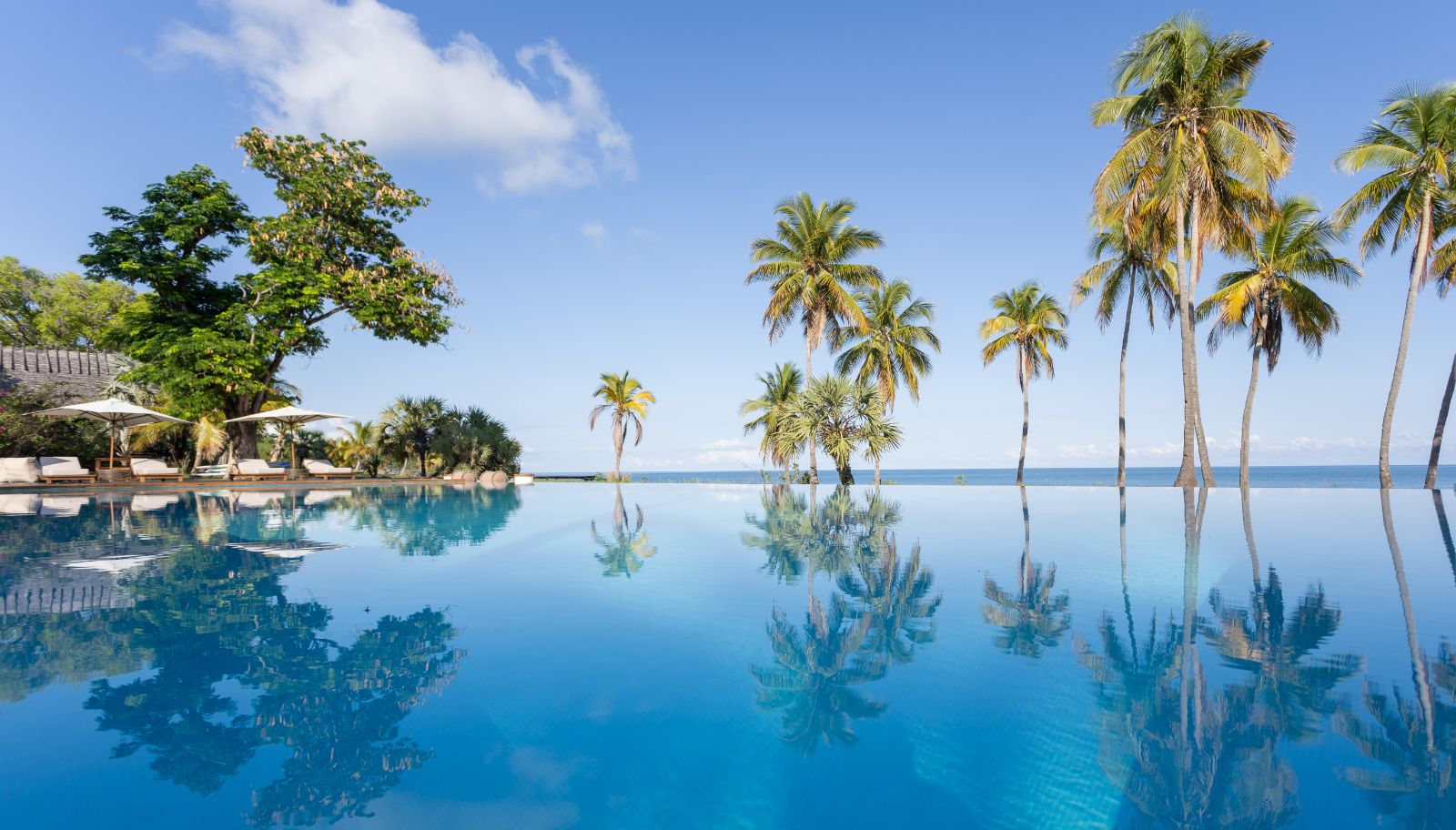 https://www.redsavannah.com/-/media/countries/madagascar/accommodation/anjajavy-lhotel/madagascaranjajavylhotelpool.jpg?cropregion=0%2C131%2C1514%2C790&h=610&hash=FFA775BC863C825B650BA1B19A954A9E&udi=1&w=1400