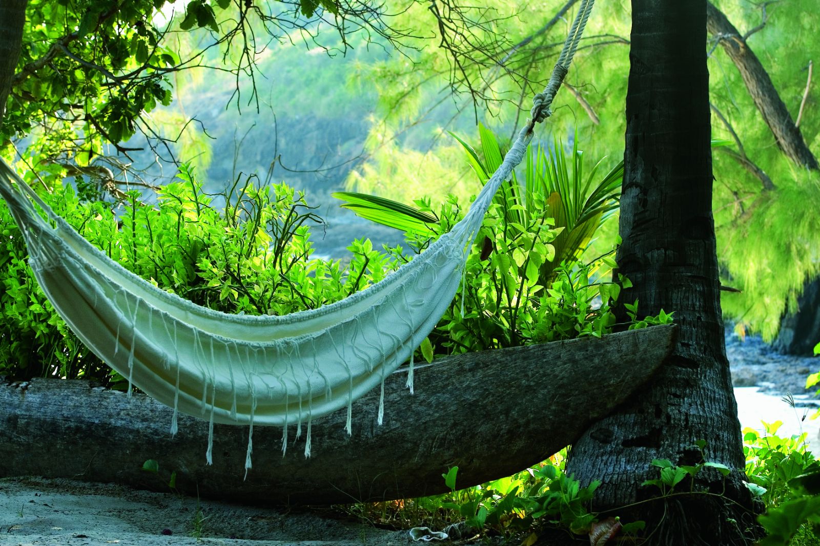 Beach hammock surrounded by tropical forest at the Constance Tsarabanjina in Madagascar