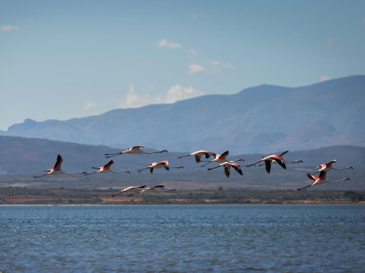 Birds flying over Lake Anony near Mandrare River Camp in Madagascar