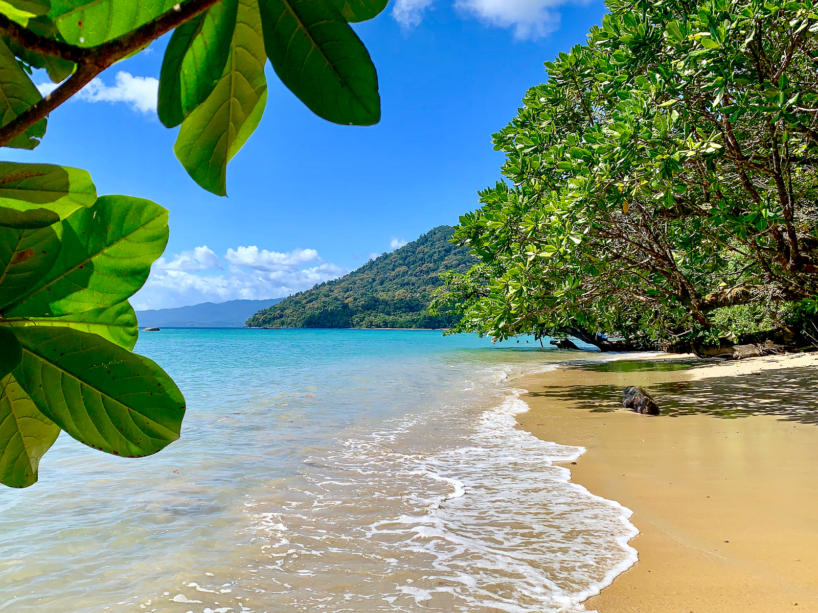 Beachfront at Masoala Forest Lodge in Madagascar