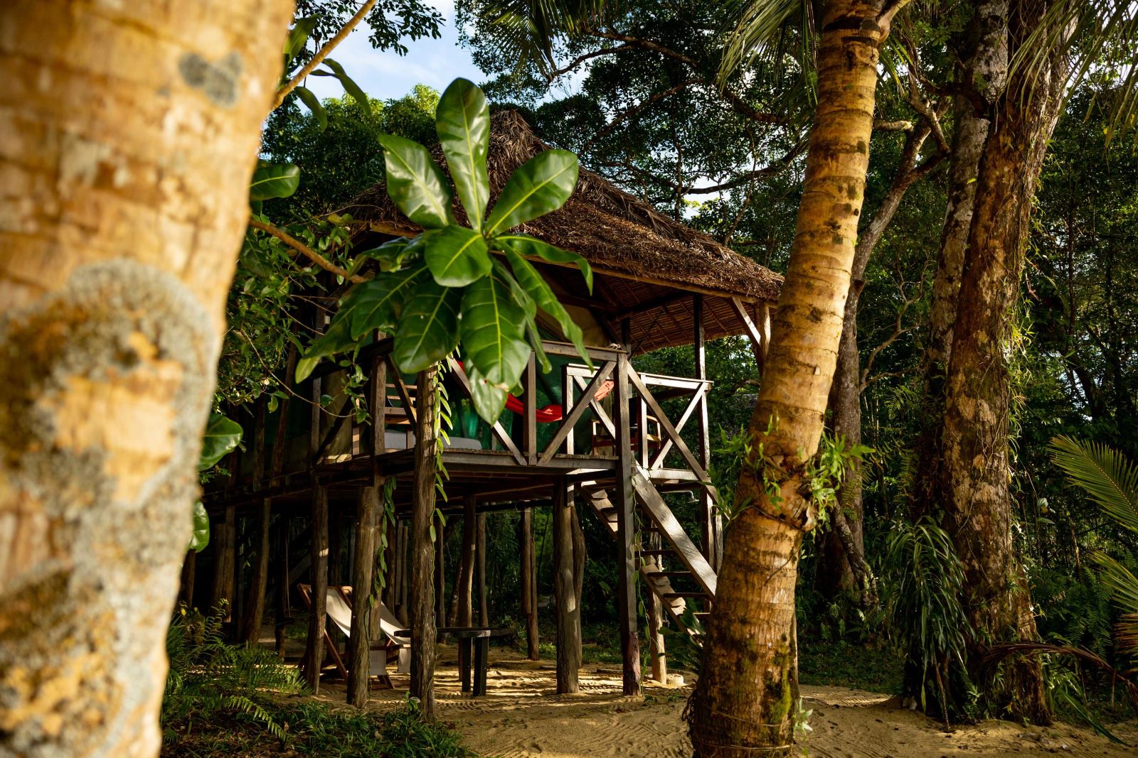 Exterior view of a guest treehouse at Masoala Forest Lodge in Madagascar
