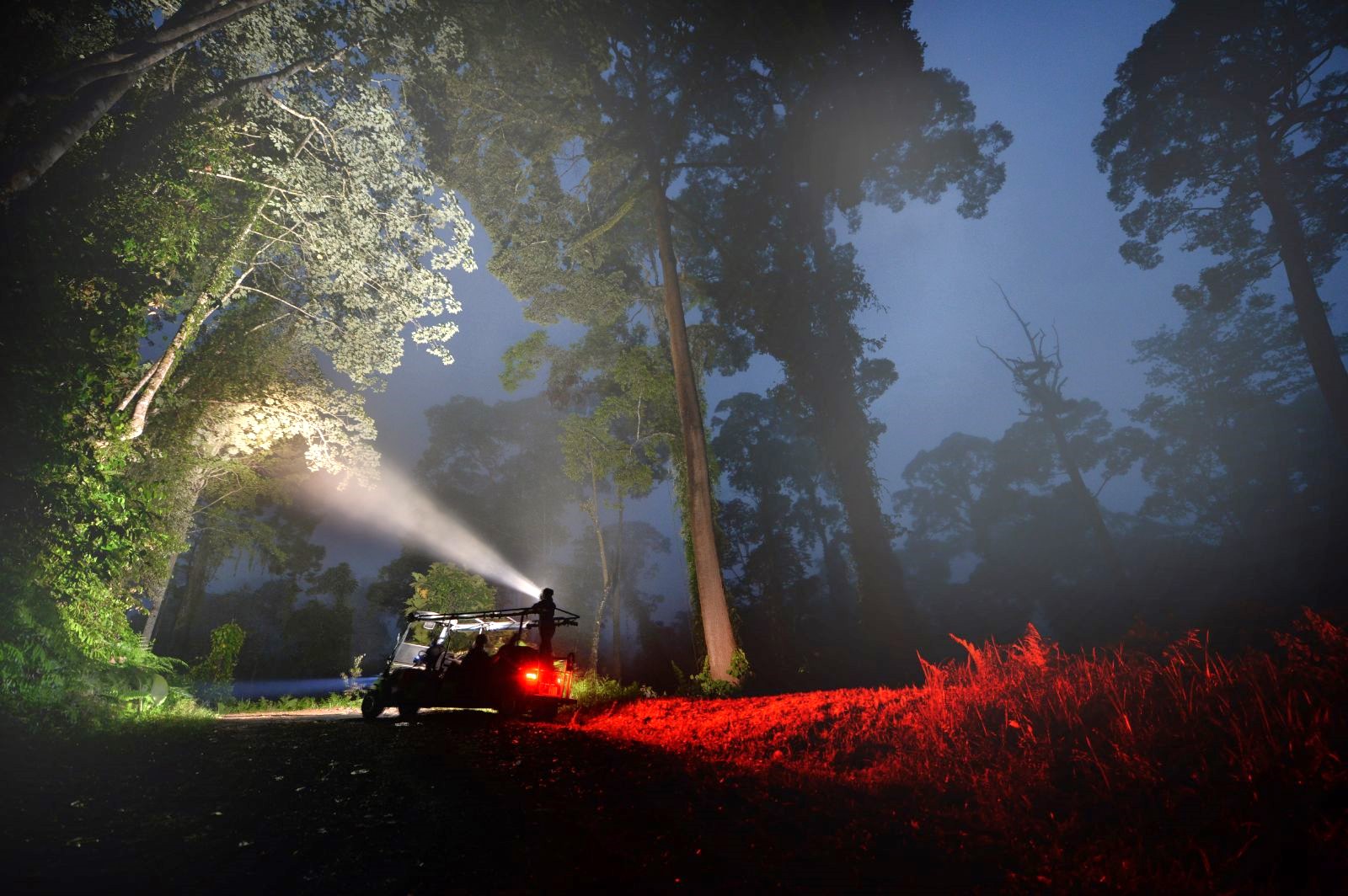 Night drive at Borneo Rainforest Lodge in Malaysia's Danum Valley