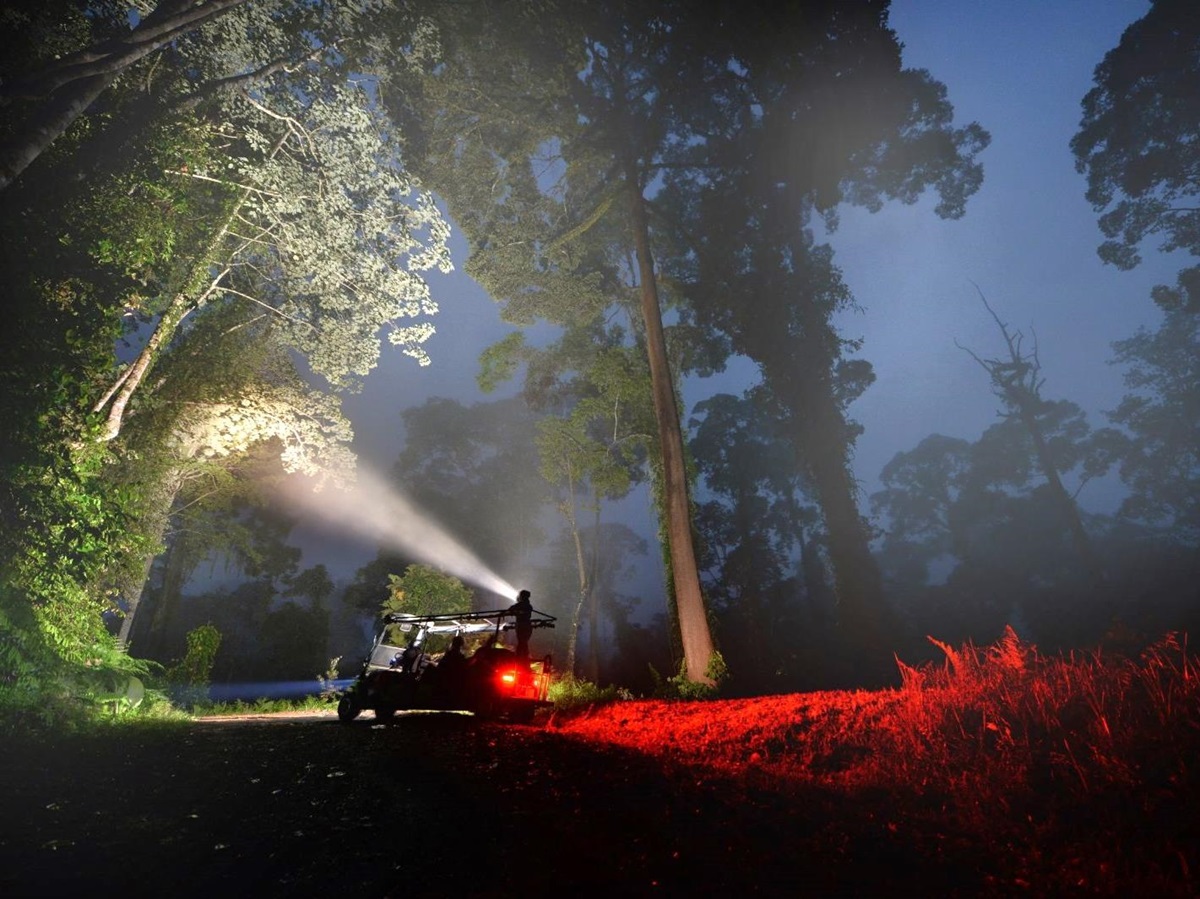 Night drive at Borneo Rainforest Lodge in Malaysia's Danum Valley
