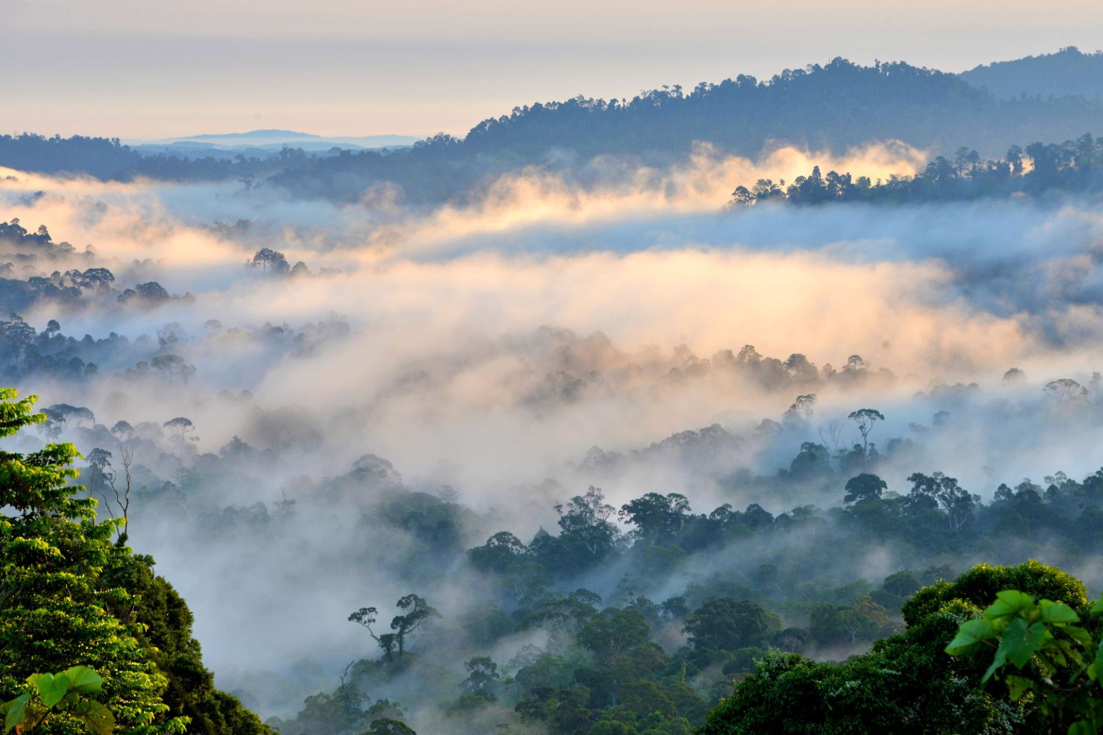 Aerial view of Rainforest Lodge in the Danum Valley of Borneo