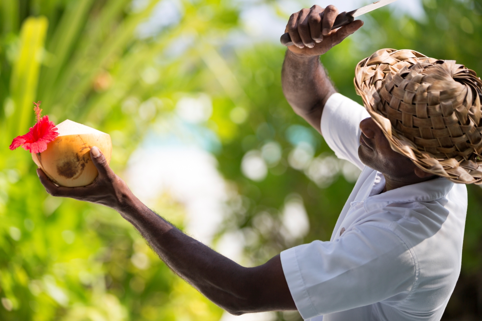 Fresh coconuts at luxury resort Anantara Dhigu in the Maldives