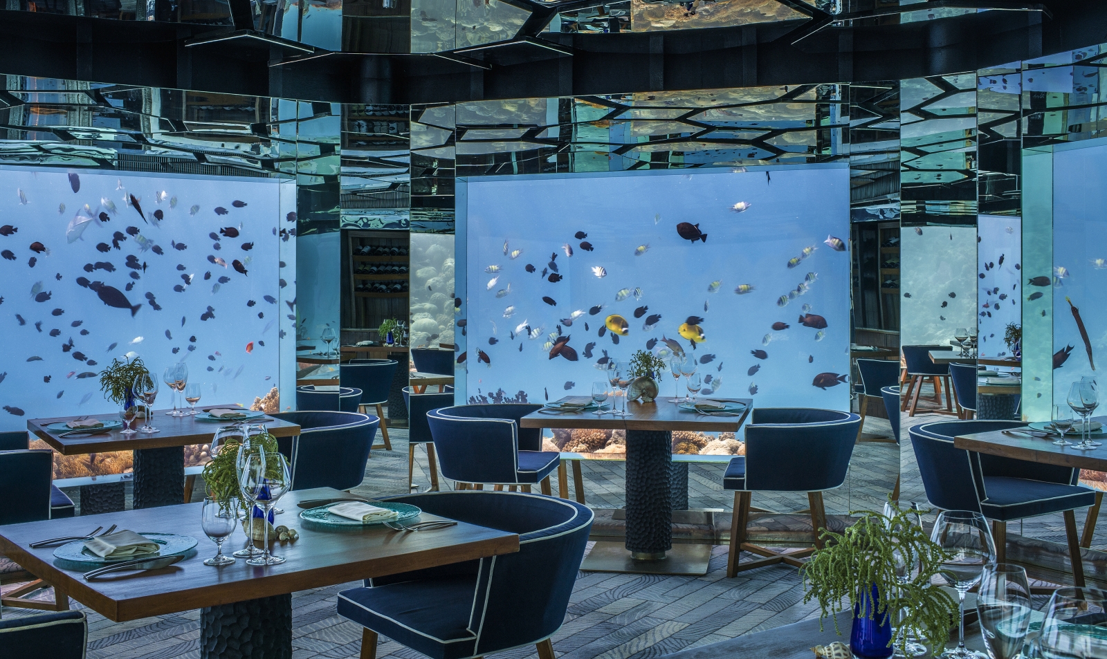 Underwater dining at Sea Restaurant at luxury resort Anantara Kihavah in the Maldives