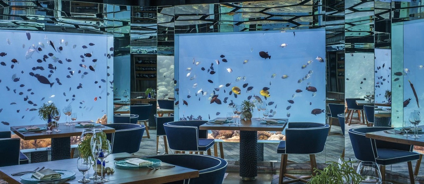 Underwater dining at Sea Restaurant at luxury resort Anantara Kihavah in the Maldives