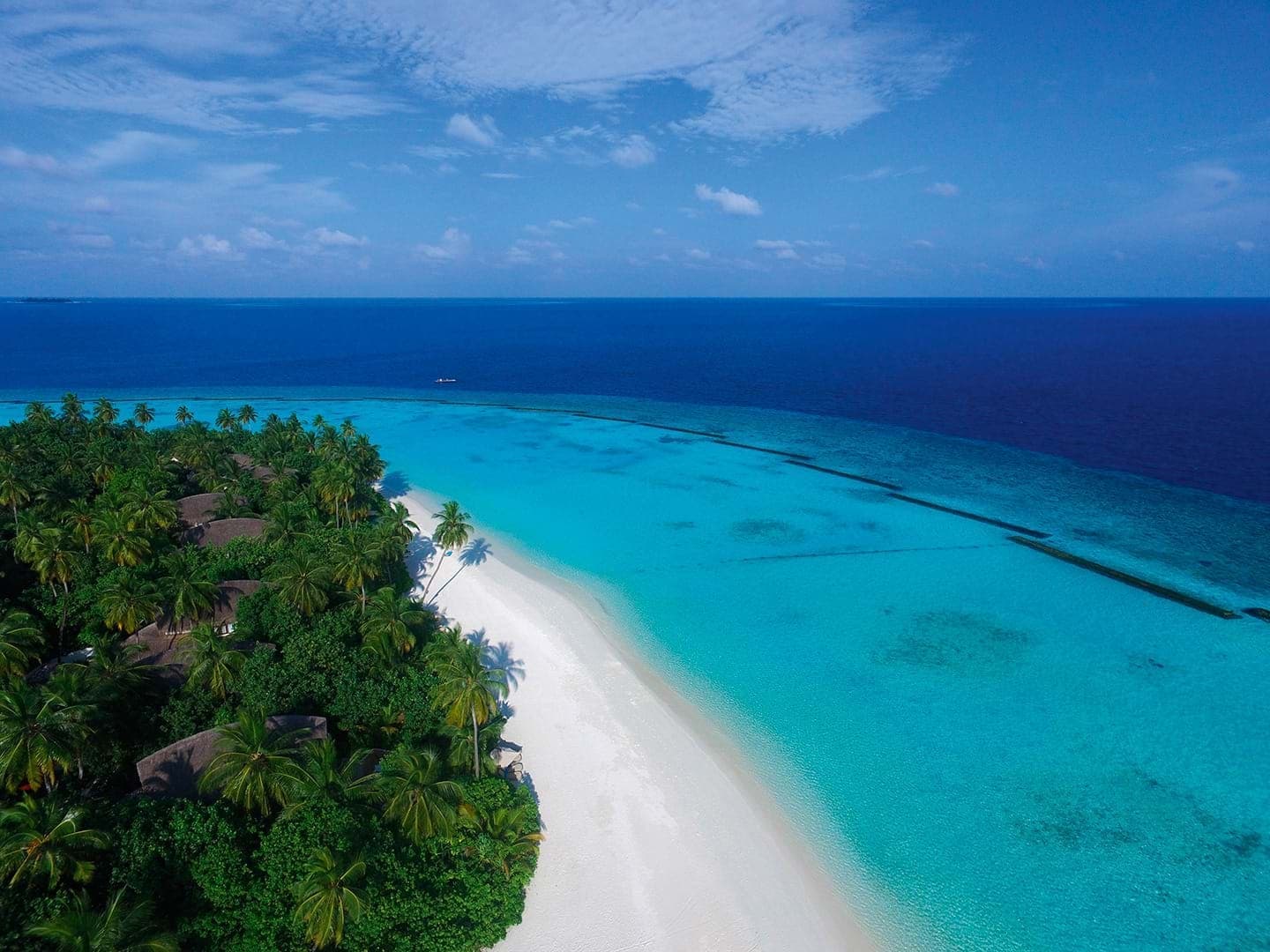 Palm forests and white sands at Constance Halaveli Maldives