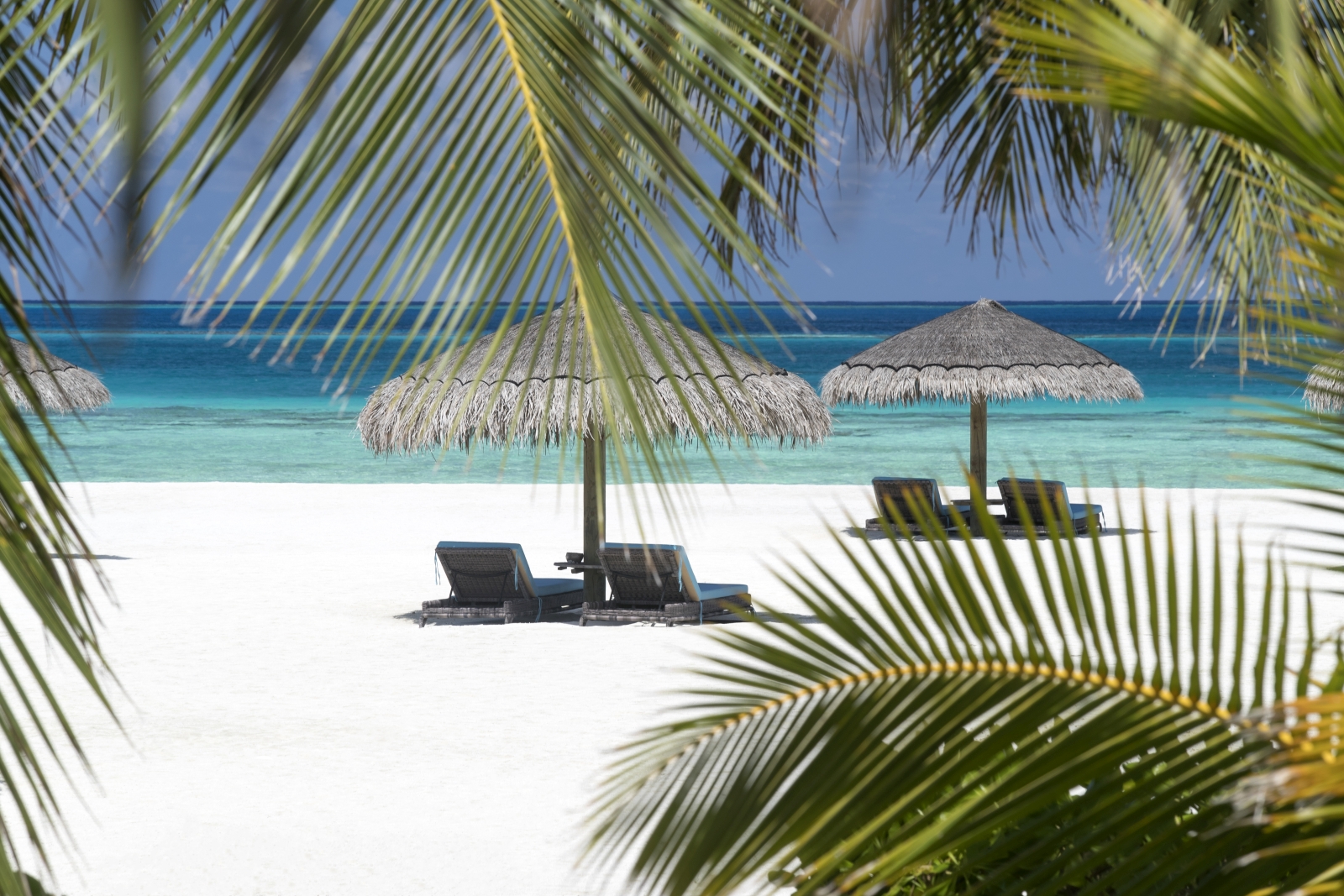 Sun loungers and parasols on the white sand beach of luxury resort Constance Moofushi in the Maldives