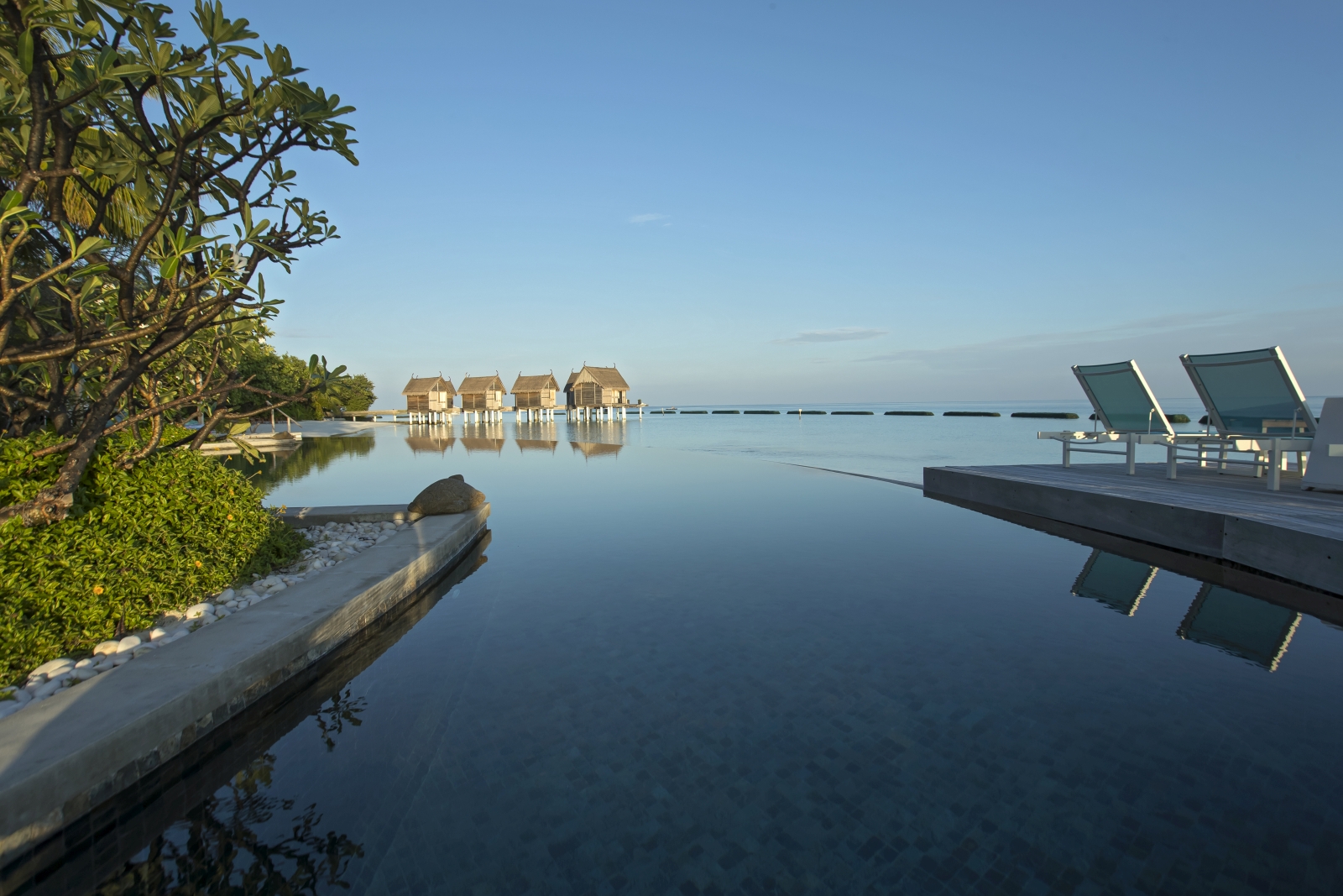 View over the infinity pool with loungers at luxury resort Constance Moofushi in the Maldives