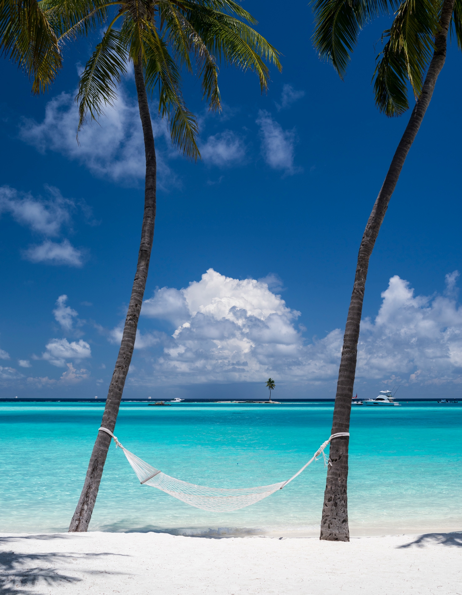 Hammock between to palm trees on the white sand beach of luxury resort Gili Lankanfushi in the Maldives