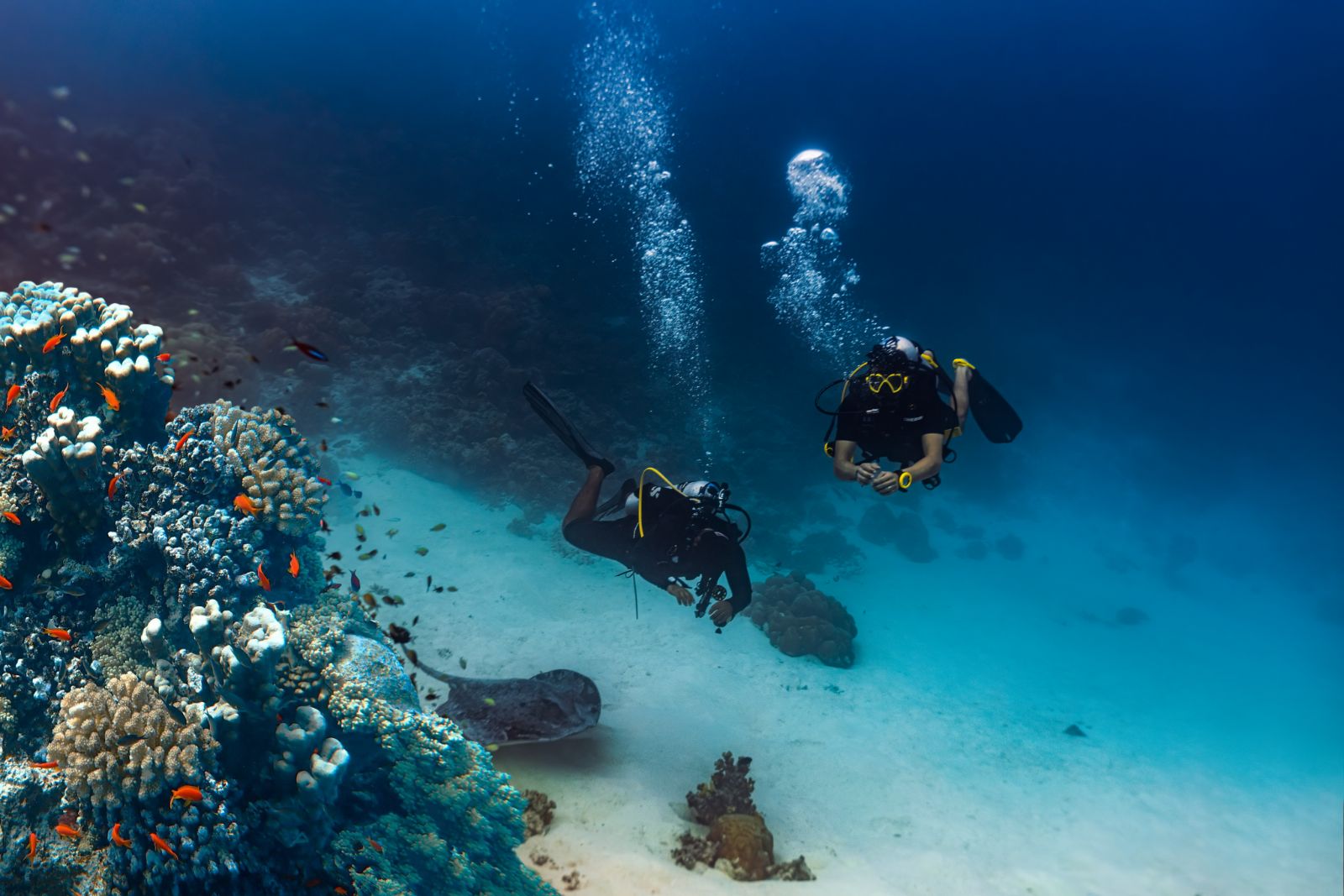 Diving at Heritance Aarah resort in the Maldives