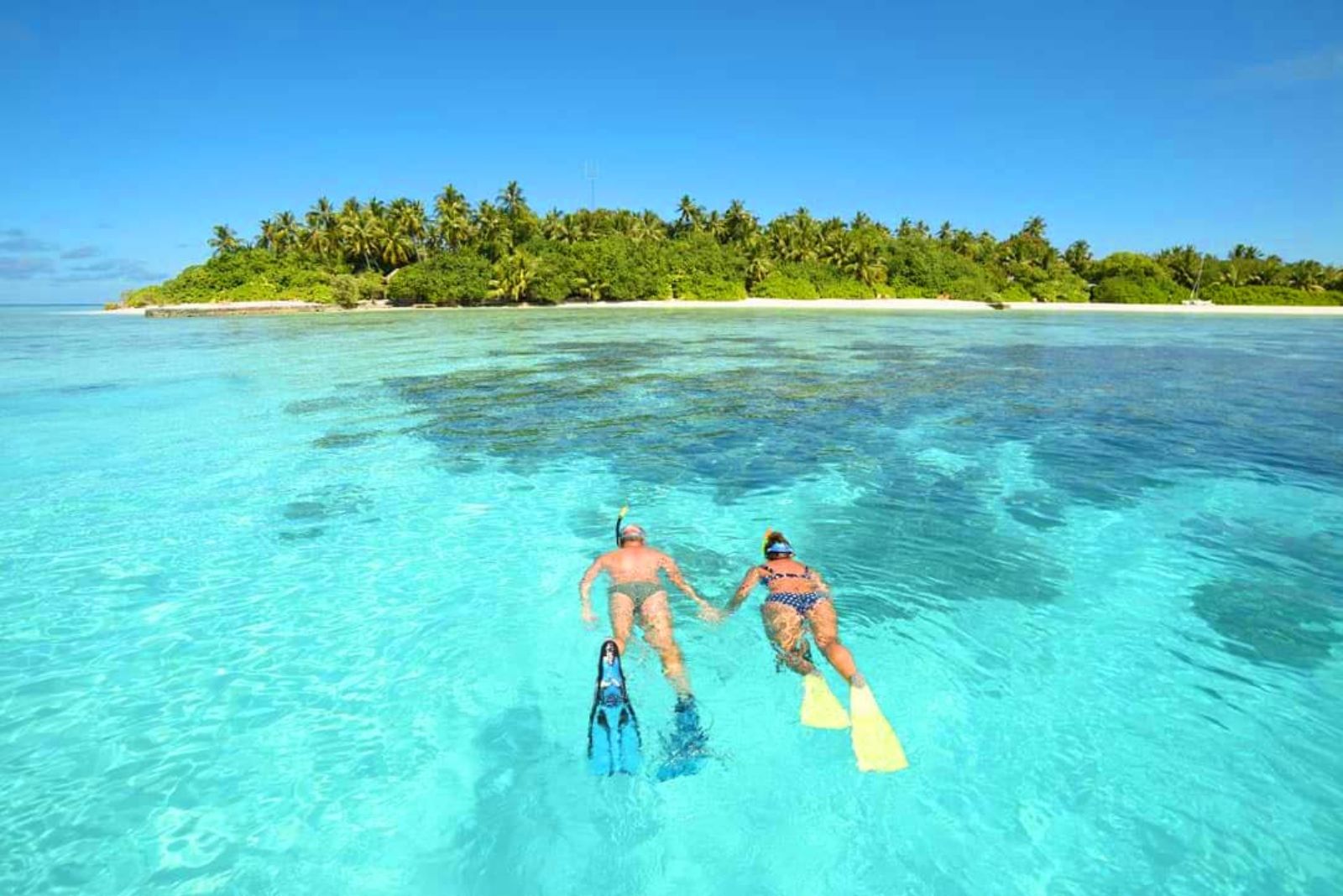 Snorkelling in the waters surrounding Makunudu Island resort in the Maldives