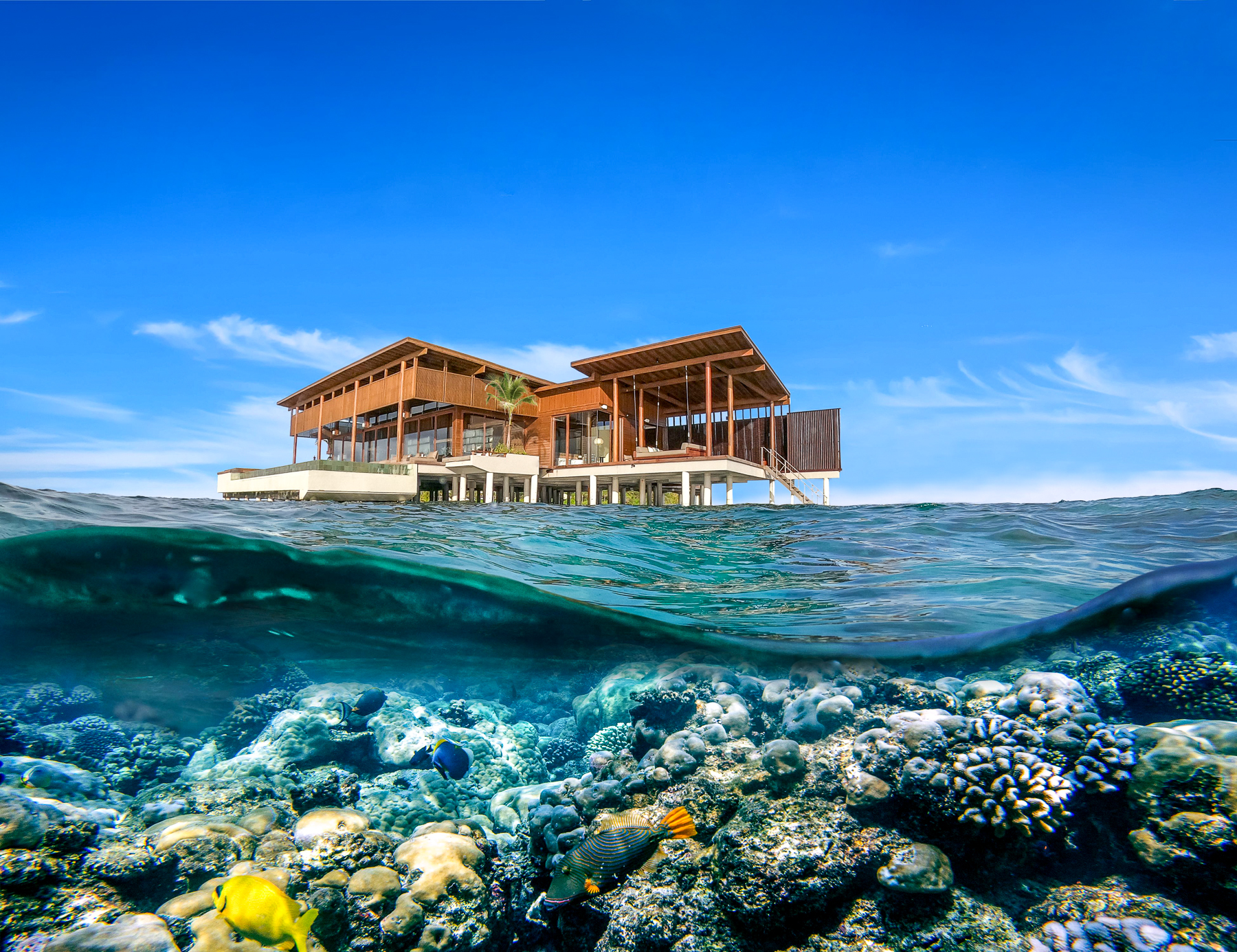 Underwater view from Park Hyatt Maldives Hadahaa