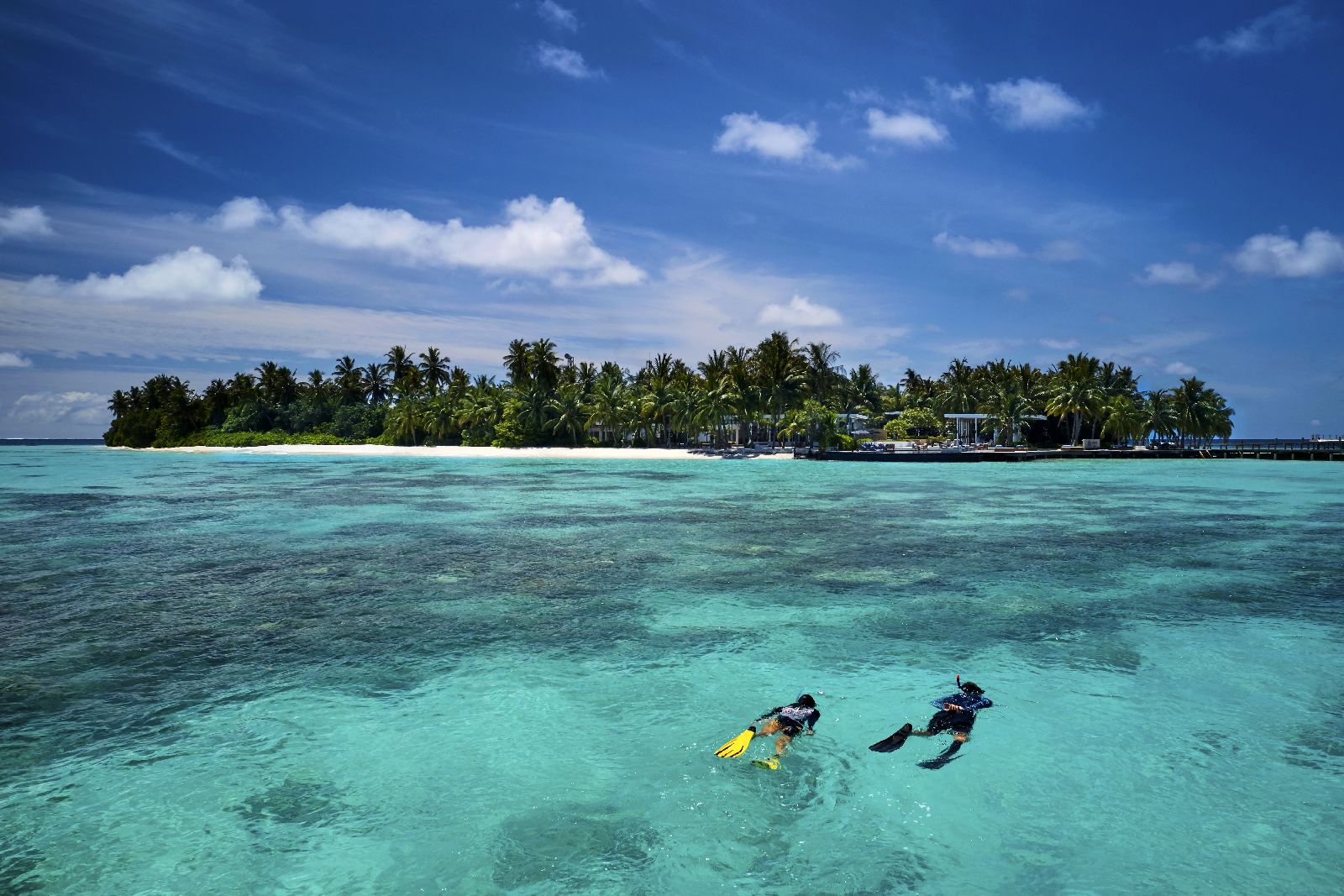 Snorkelling in the house reef at Raffles Maldives Meradhoo