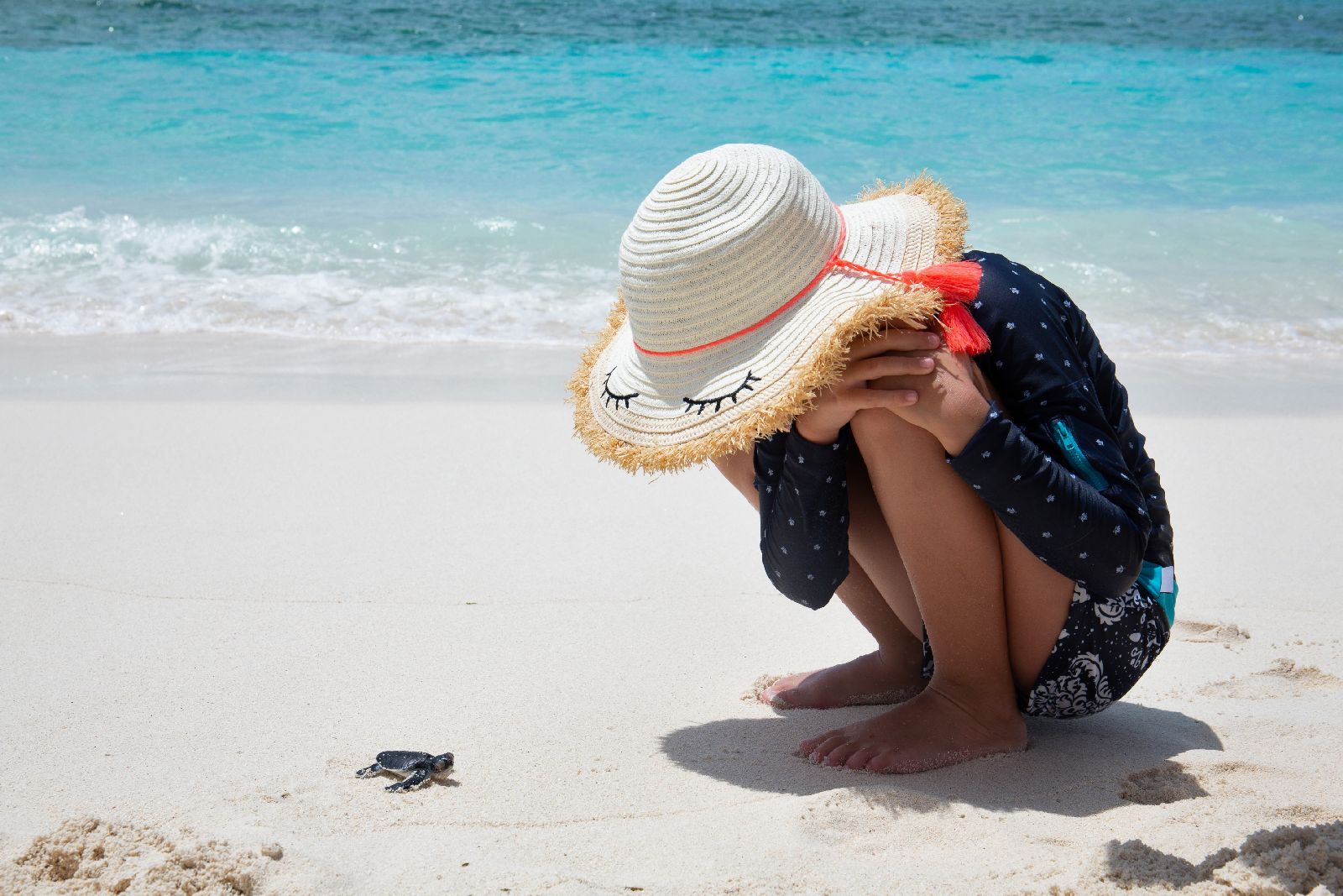 Young girl watching a baby sea turtle on the beach at Six Senses Laamu in the Maldives