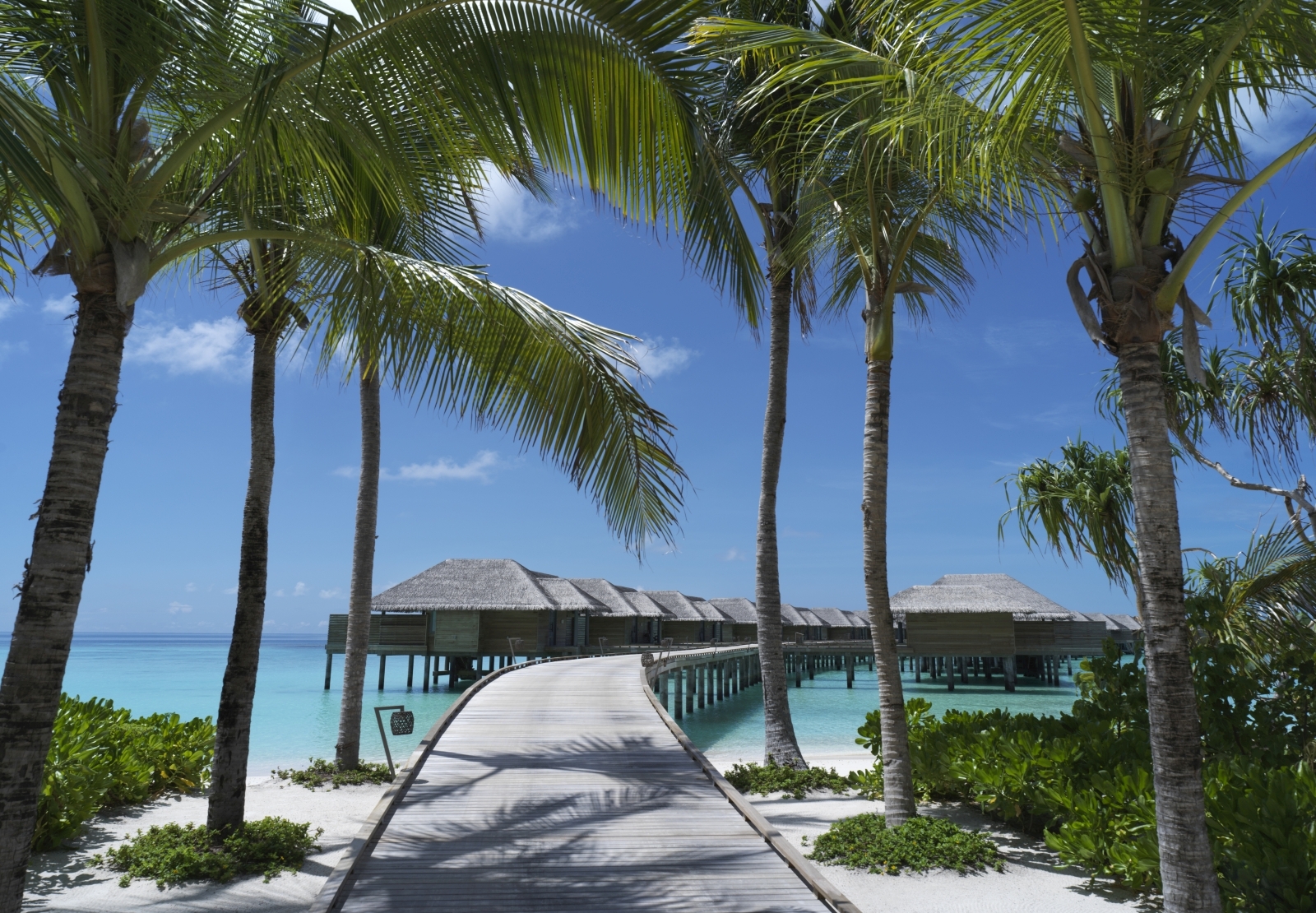 Tree lined walkway to the over water villa jetty