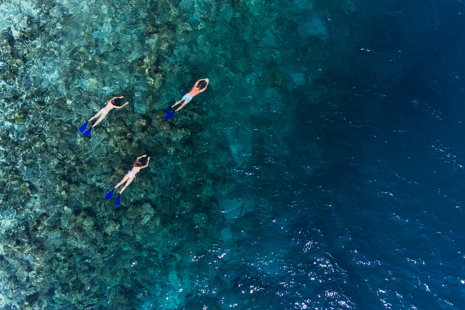 Aerial view of snorkellers at Vakkaru in the Maldives