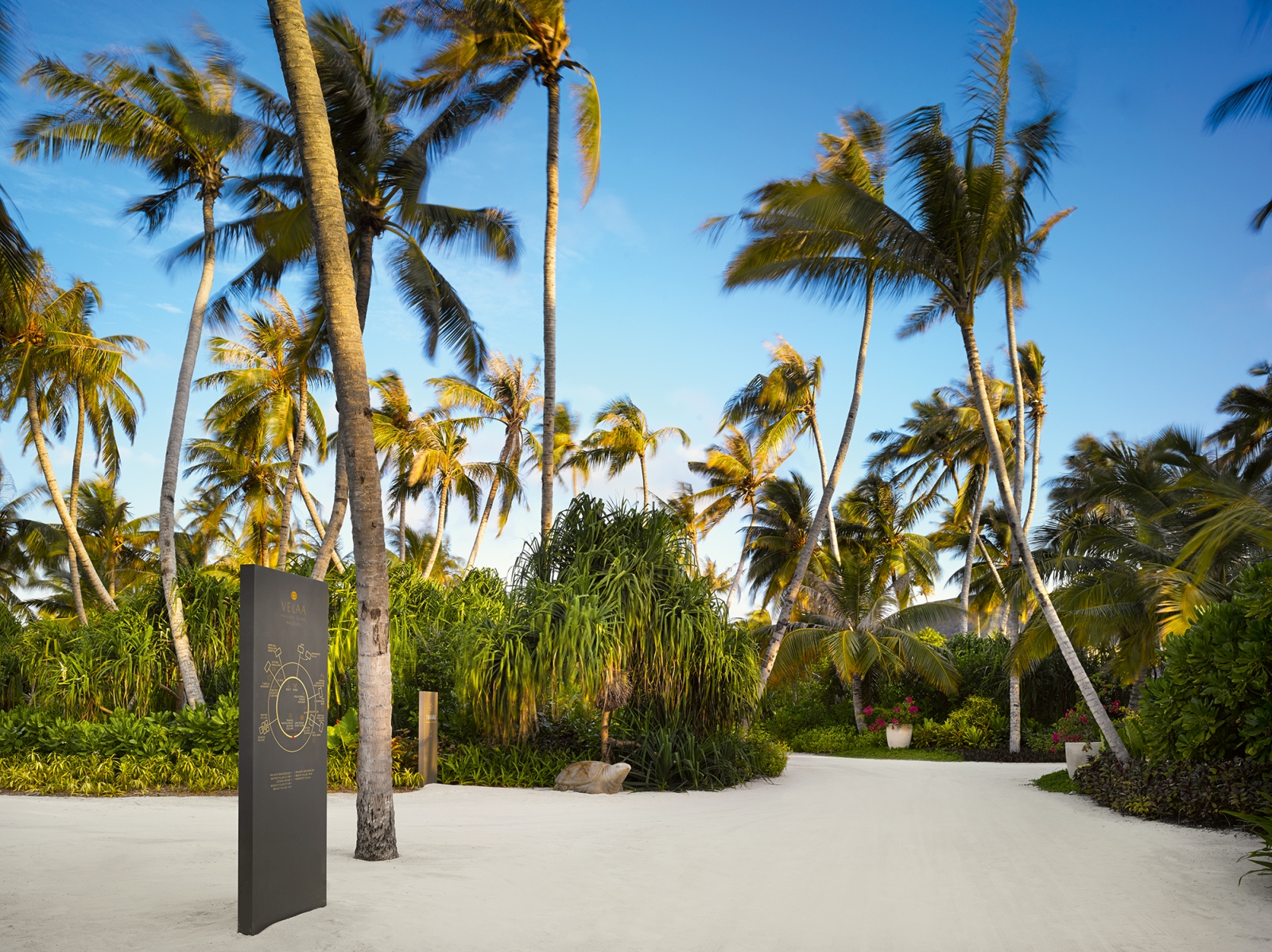 Palm trees and resort sign on Velaa Private Island in the Maldives