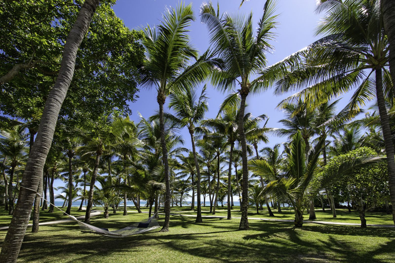 Shaded hammock at The OneandOnly Le Saint Geran
