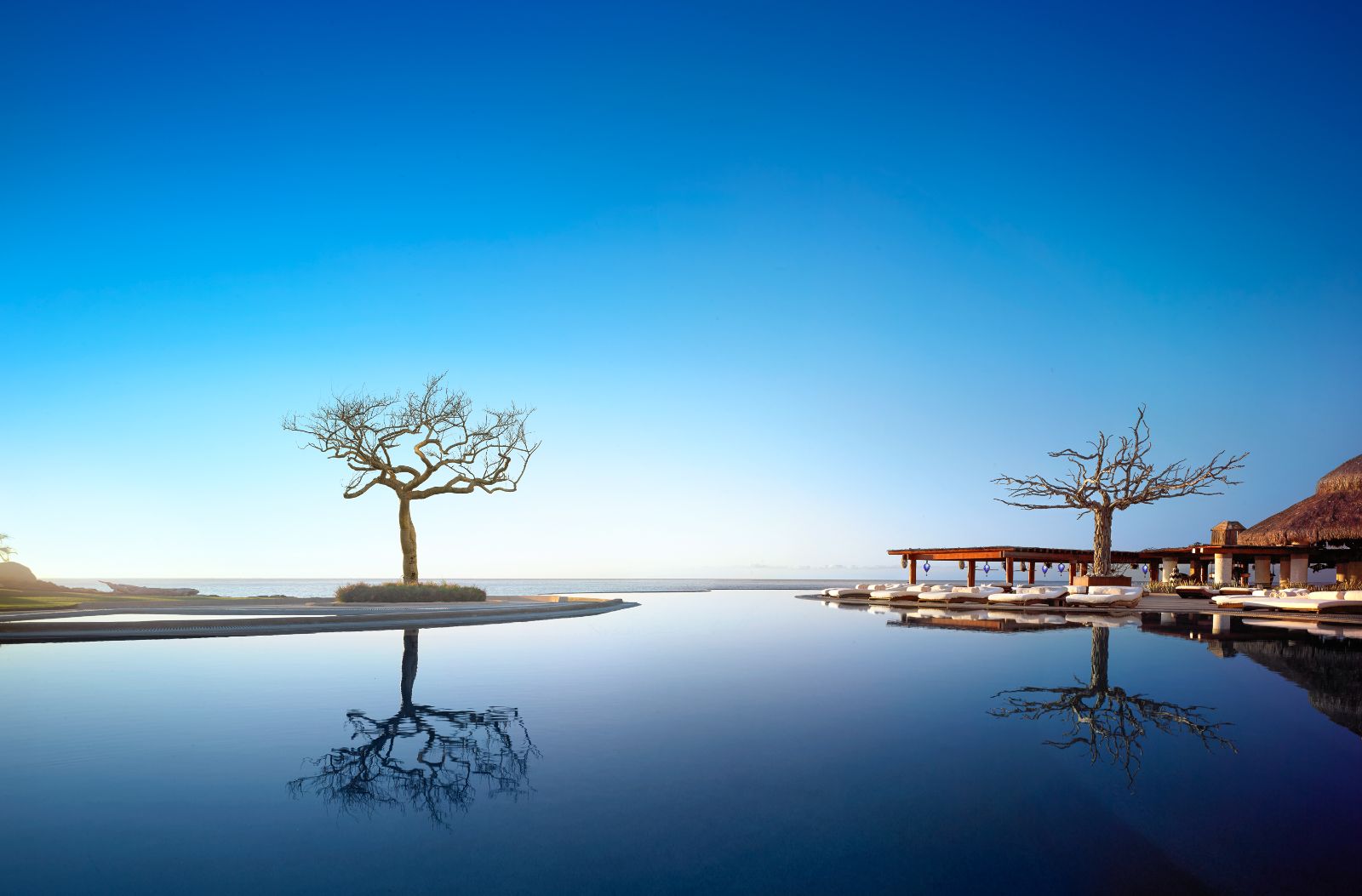 Infinity pool with ocean views at Rosewood Las Ventanas Al Paraiso in Mexico's Los Cabos