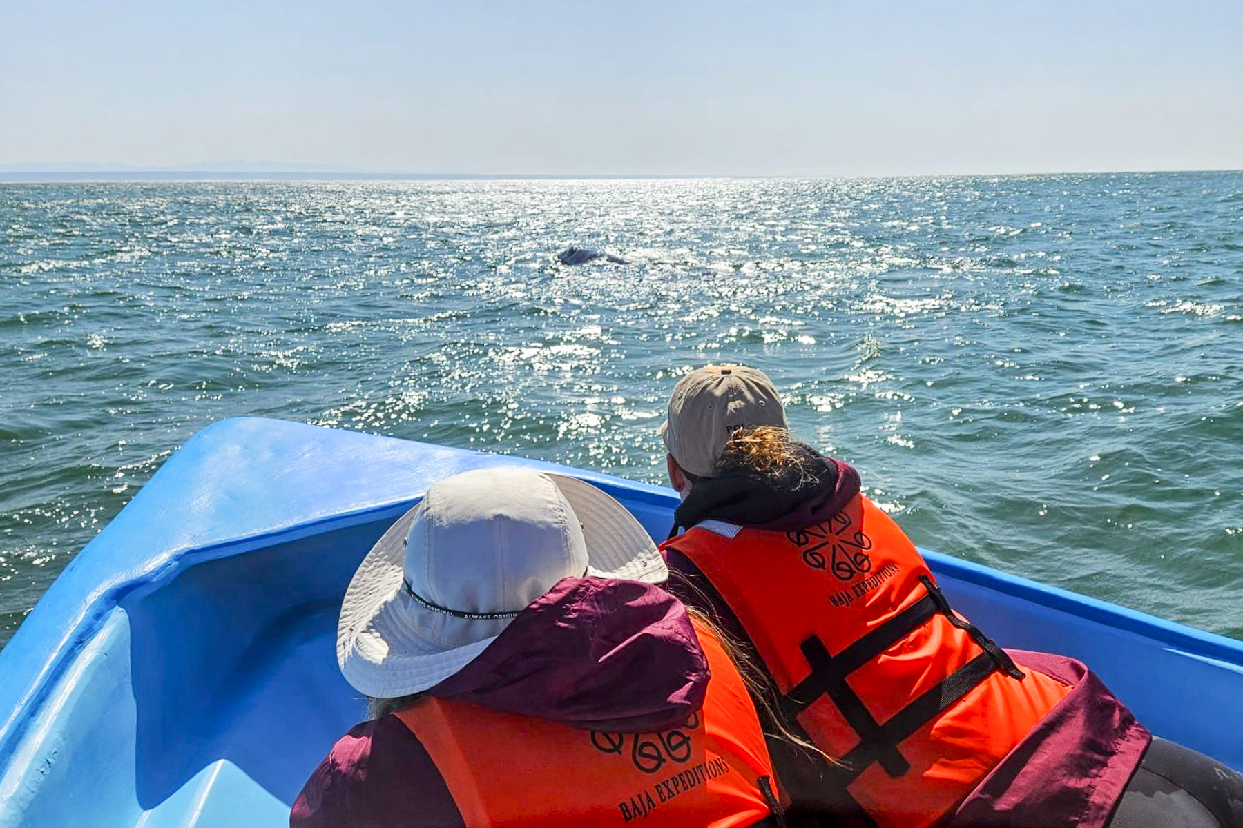 Red Savannah's Latin America specialist Dineke whale watching in San Ignacio