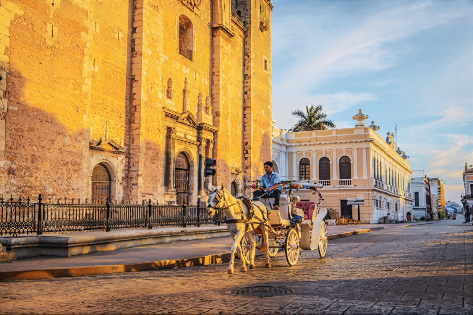 A horse drawn carriage in Merida, Mexico