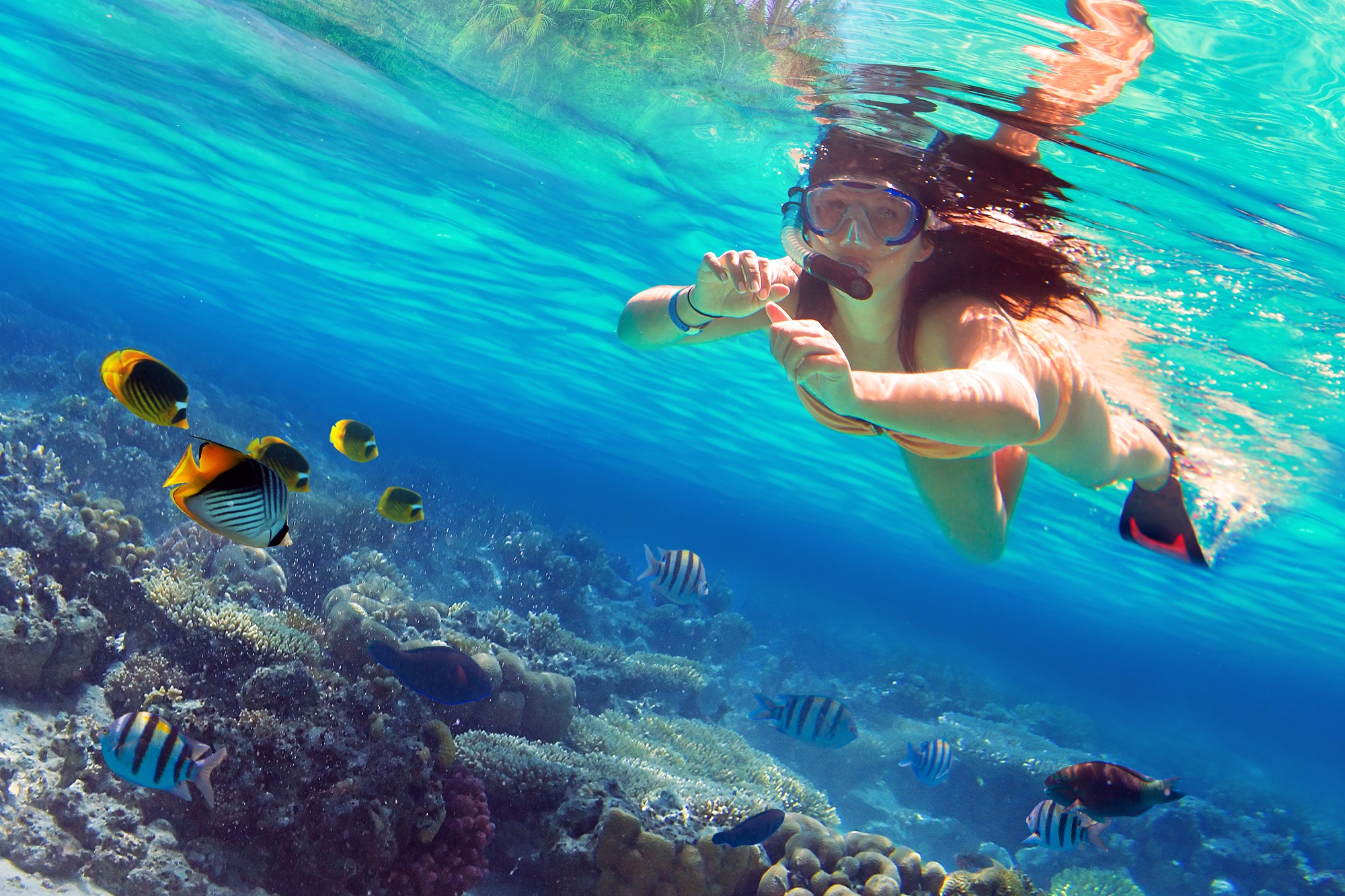 Snorkelling off the coast of Mexico