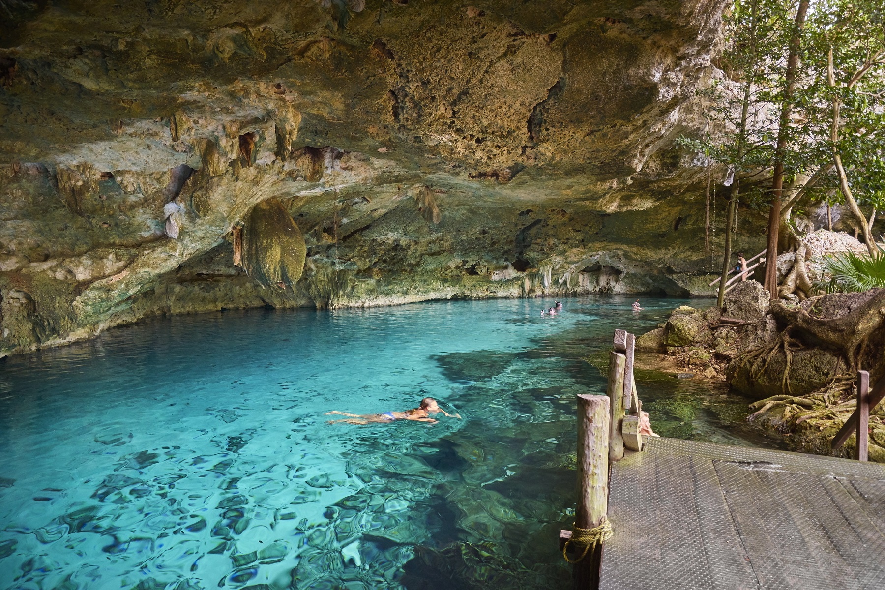 Swimming in Two Eyes Cenote Yucatan Mexico