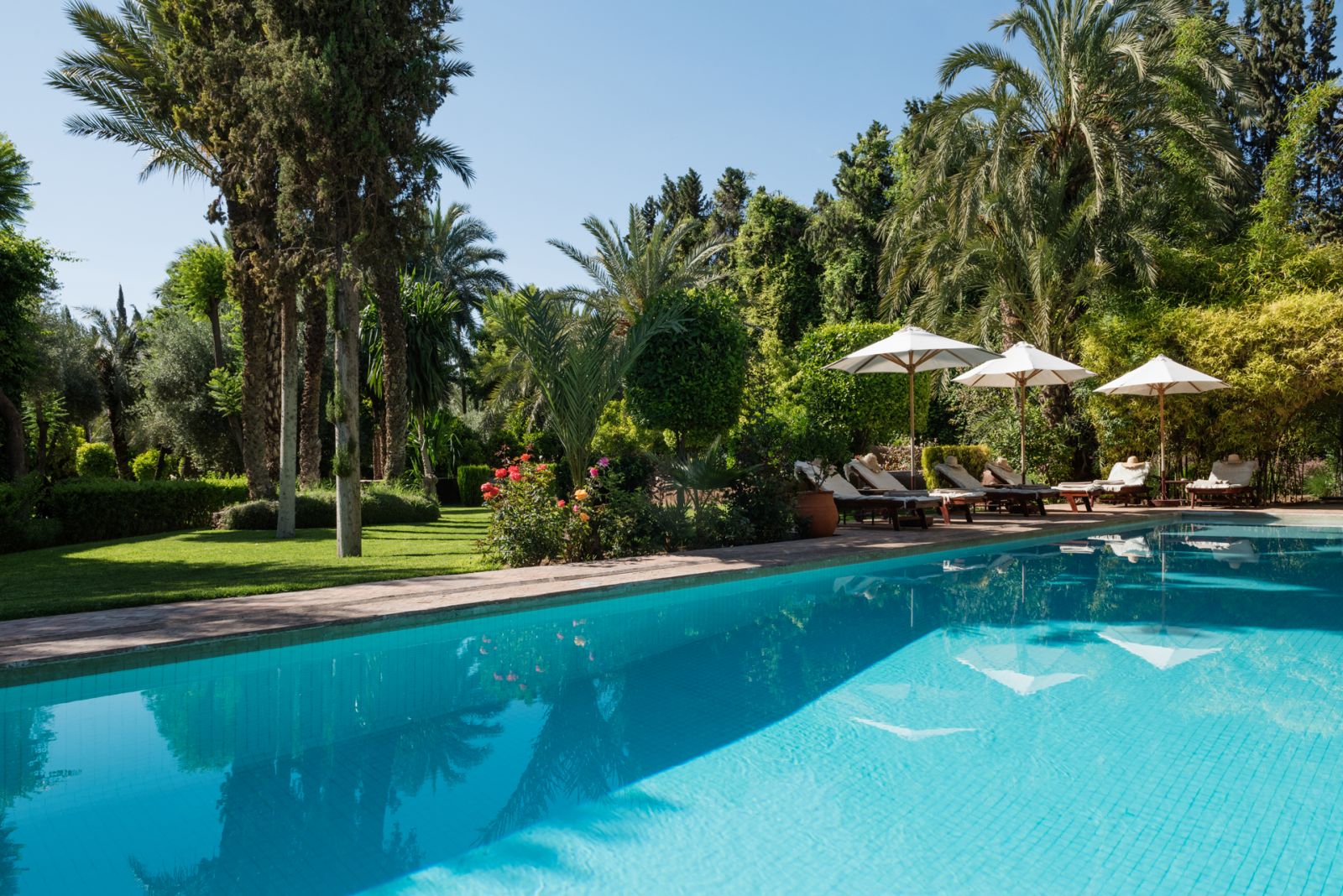 The pool, set in lush green gardens, with sunbeds and sun umbrellas at Dar Zemora in Morocco
