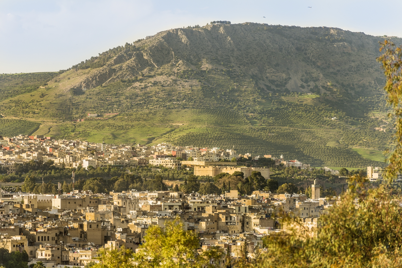 The view over Fez from Hotel Sahrai