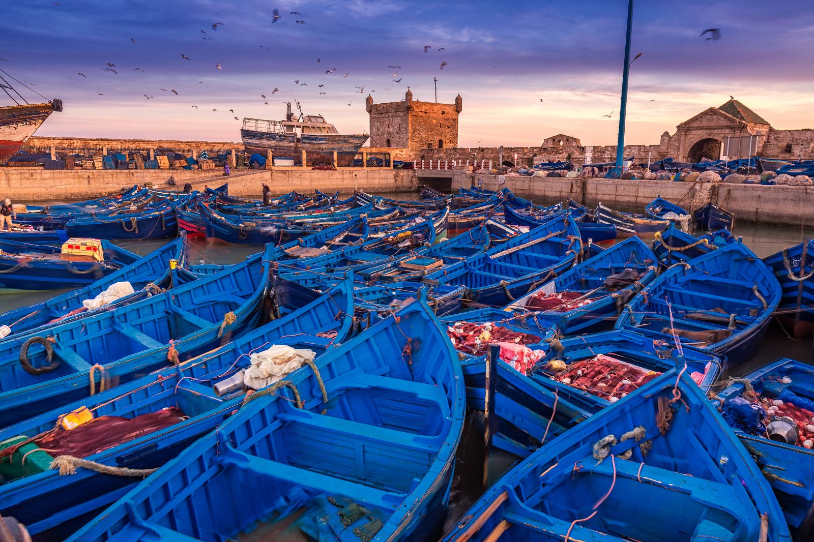 Blue wooden fishing boats in Essaouira port, Morocco