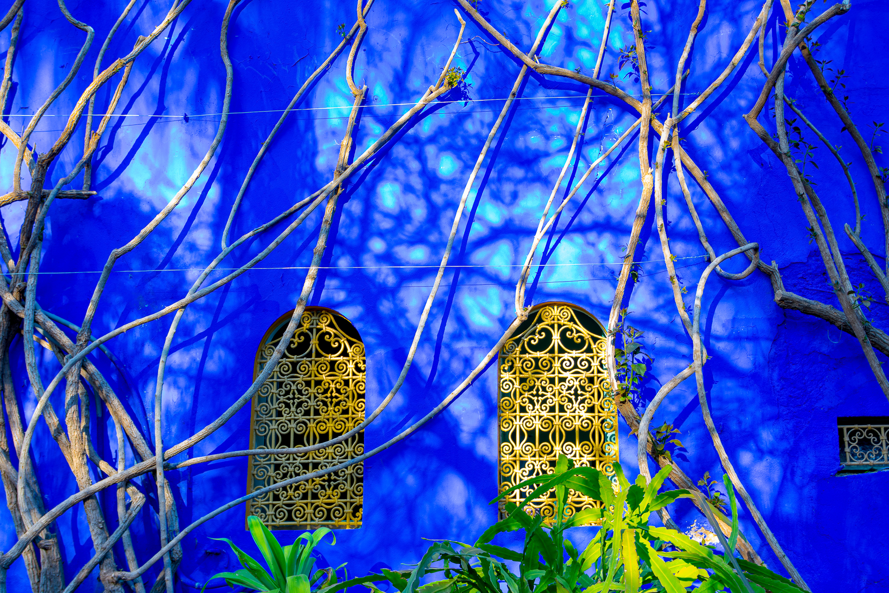 Arches on the blue walls of Majorelle Gardens in Marrakech