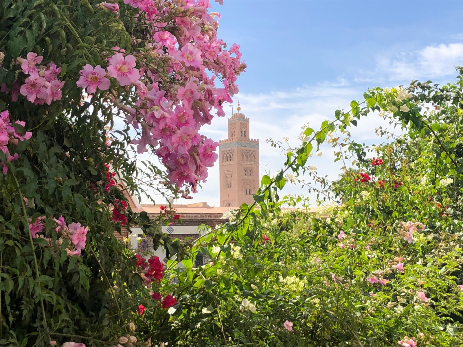 Flowers and distant view of the medina in Marrakech Morocco