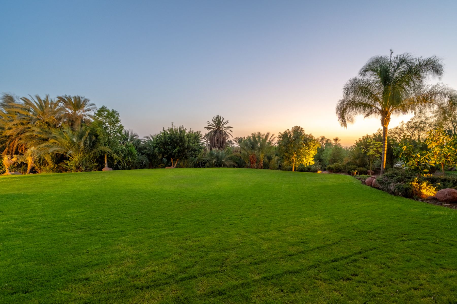 Garden at Cobalt Blue in Morocco 