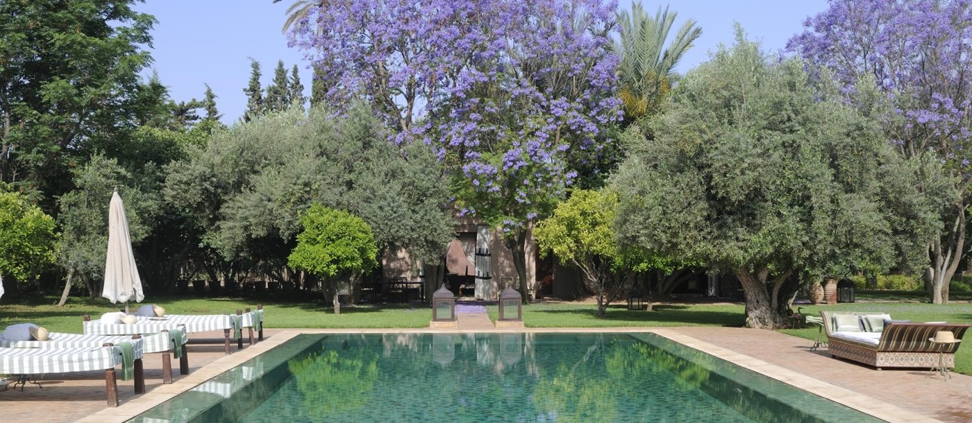 Pool and pool area with sun loungers, umbrellas and purple trees at Ezzahra in Marrakech, Morocco