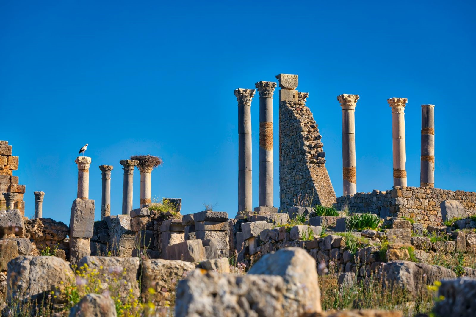 Roman ruins of columns in Volubilis