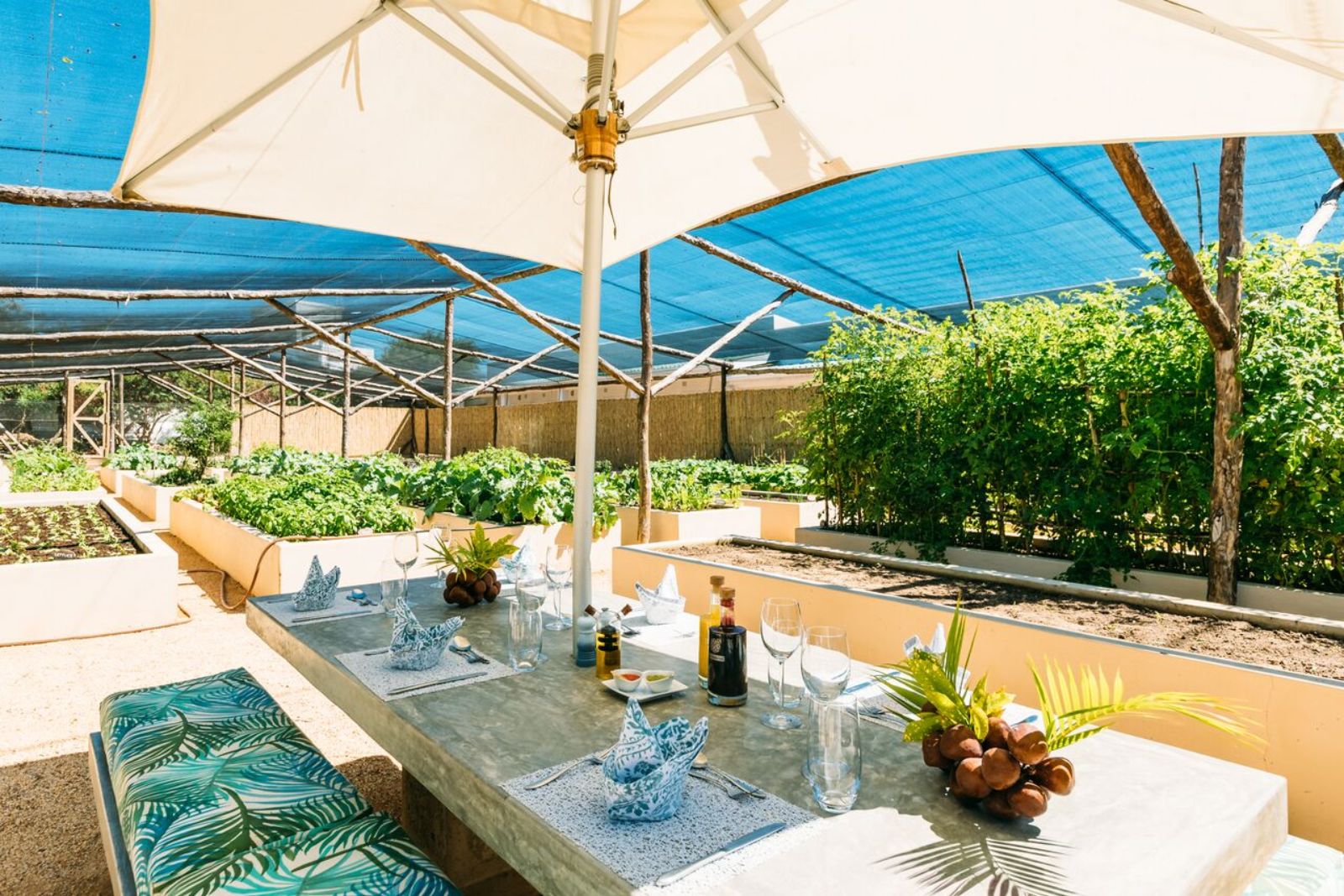 Vegetable garden and dining table at Santorin resort on Mozambique's south coast