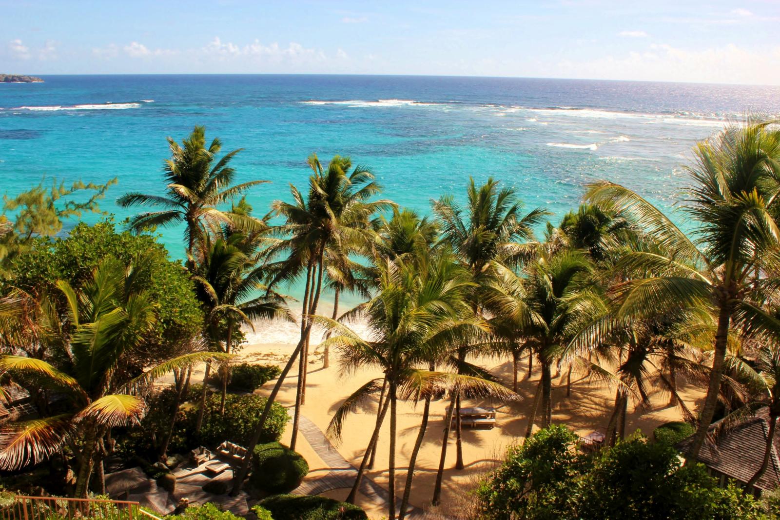 Palm trees on the beach of Sunrise, Mustique